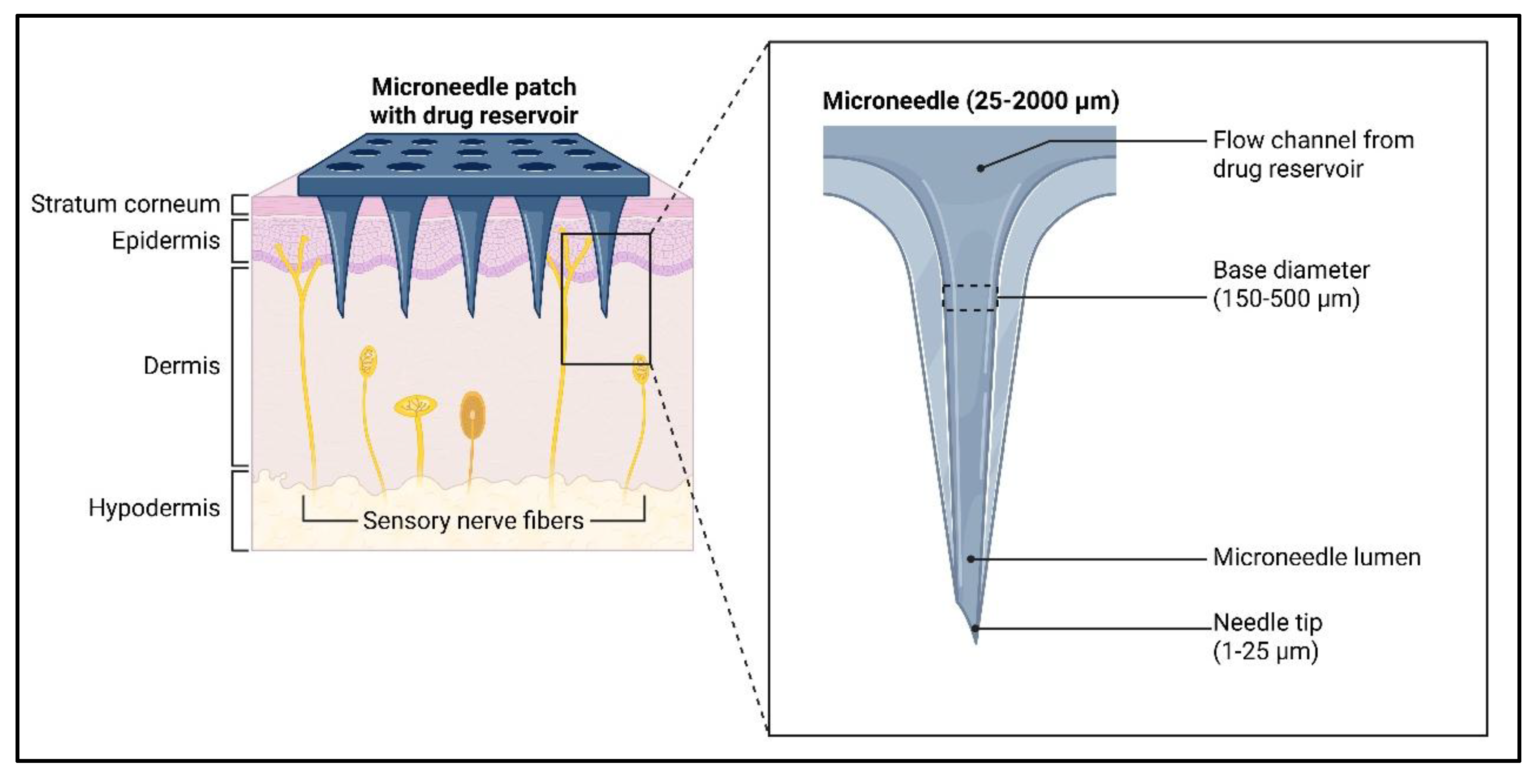 Preprints 187772 g002