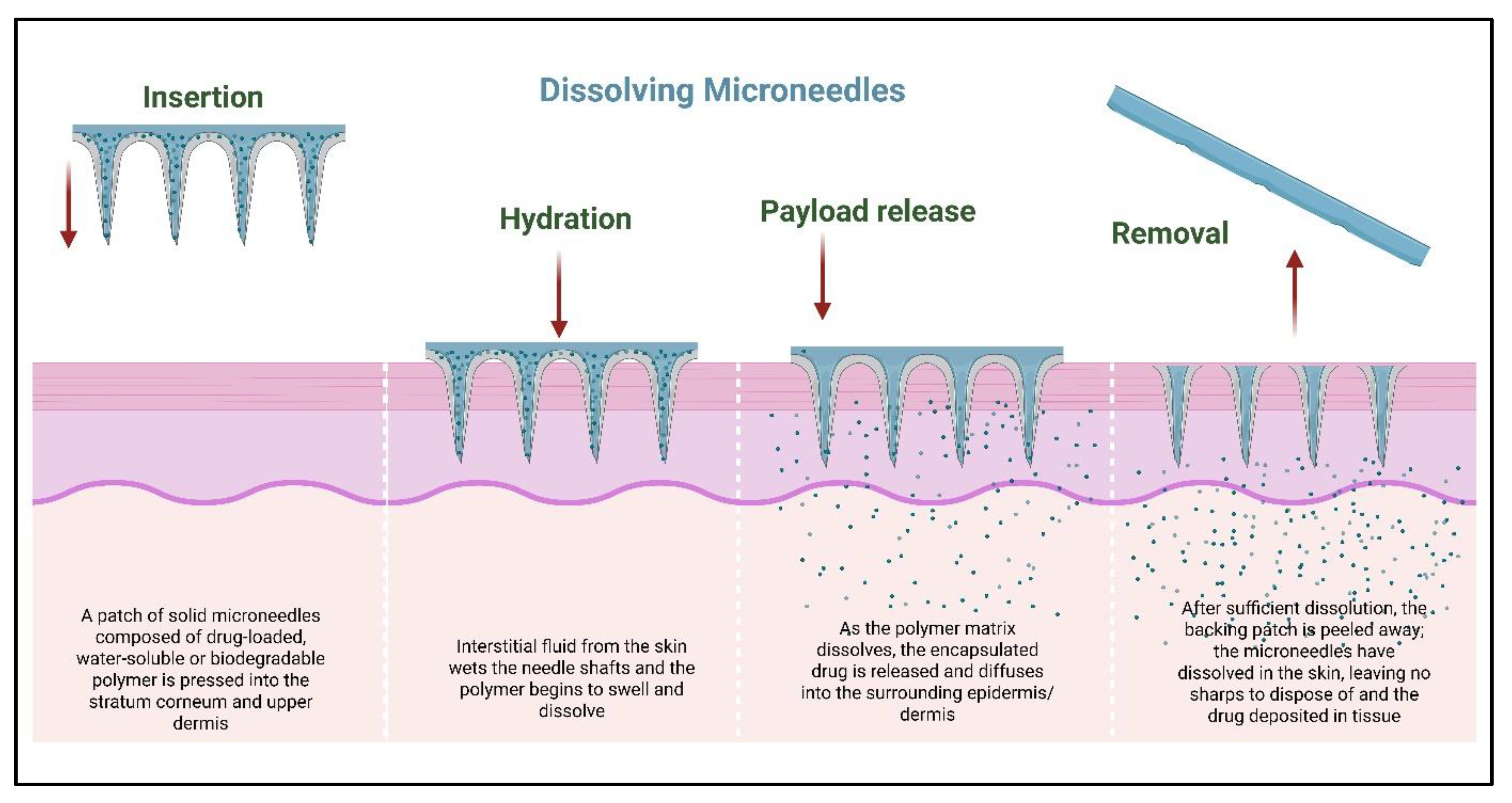 Preprints 187772 g005