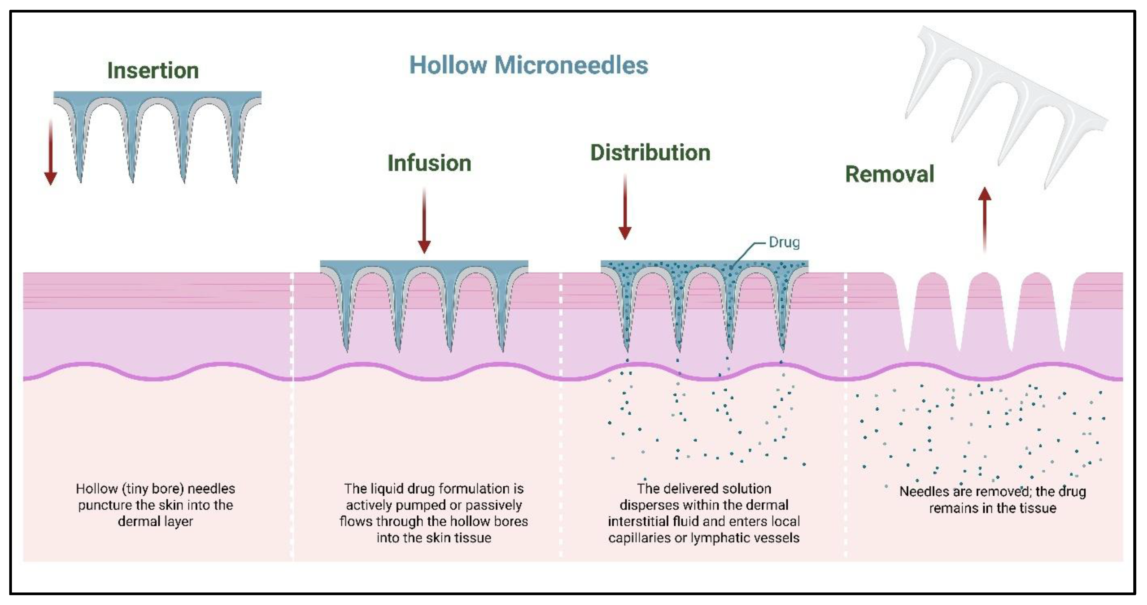 Preprints 187772 g006
