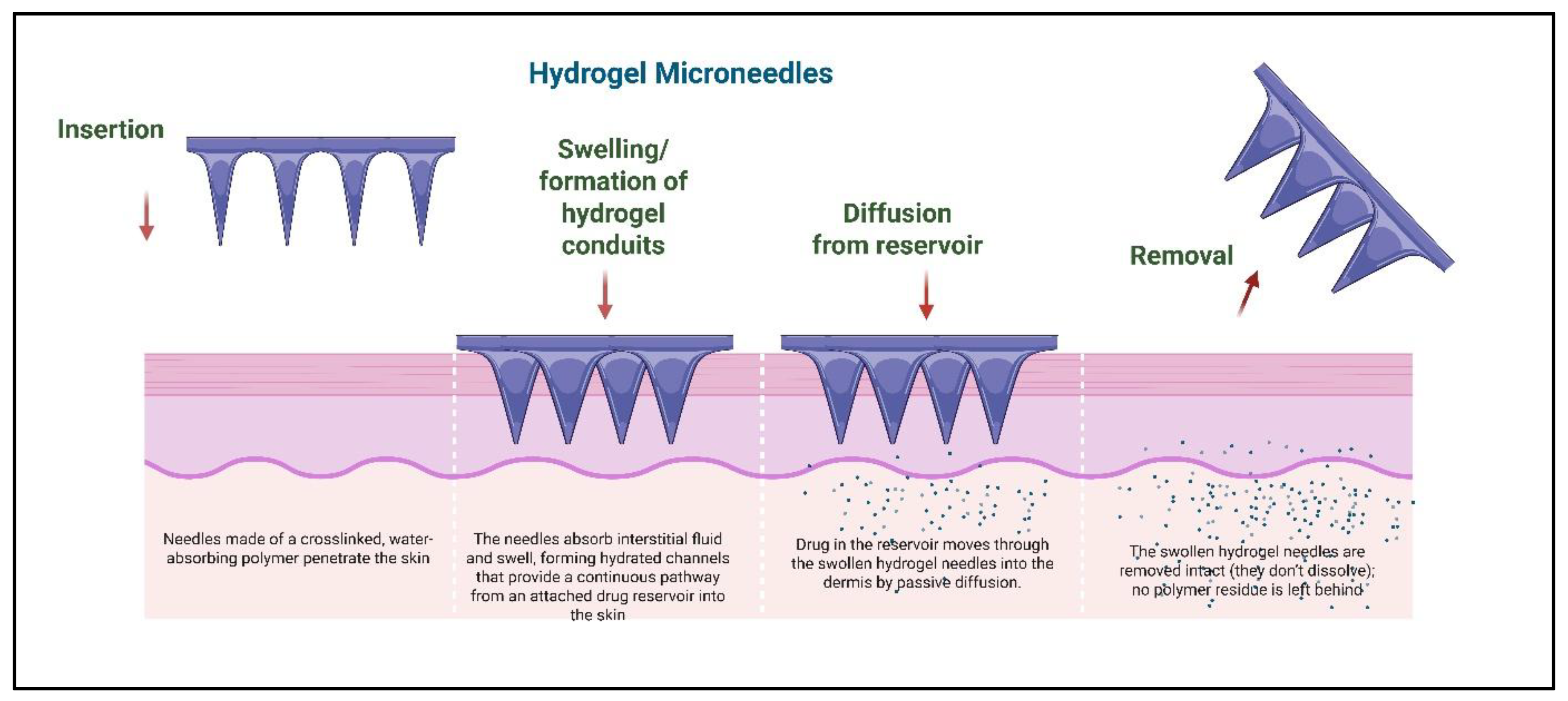 Preprints 187772 g007