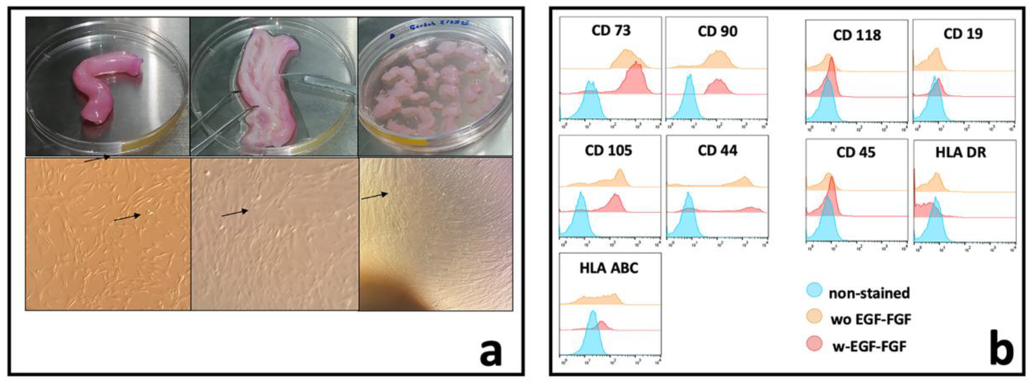 Preprints 179460 g001