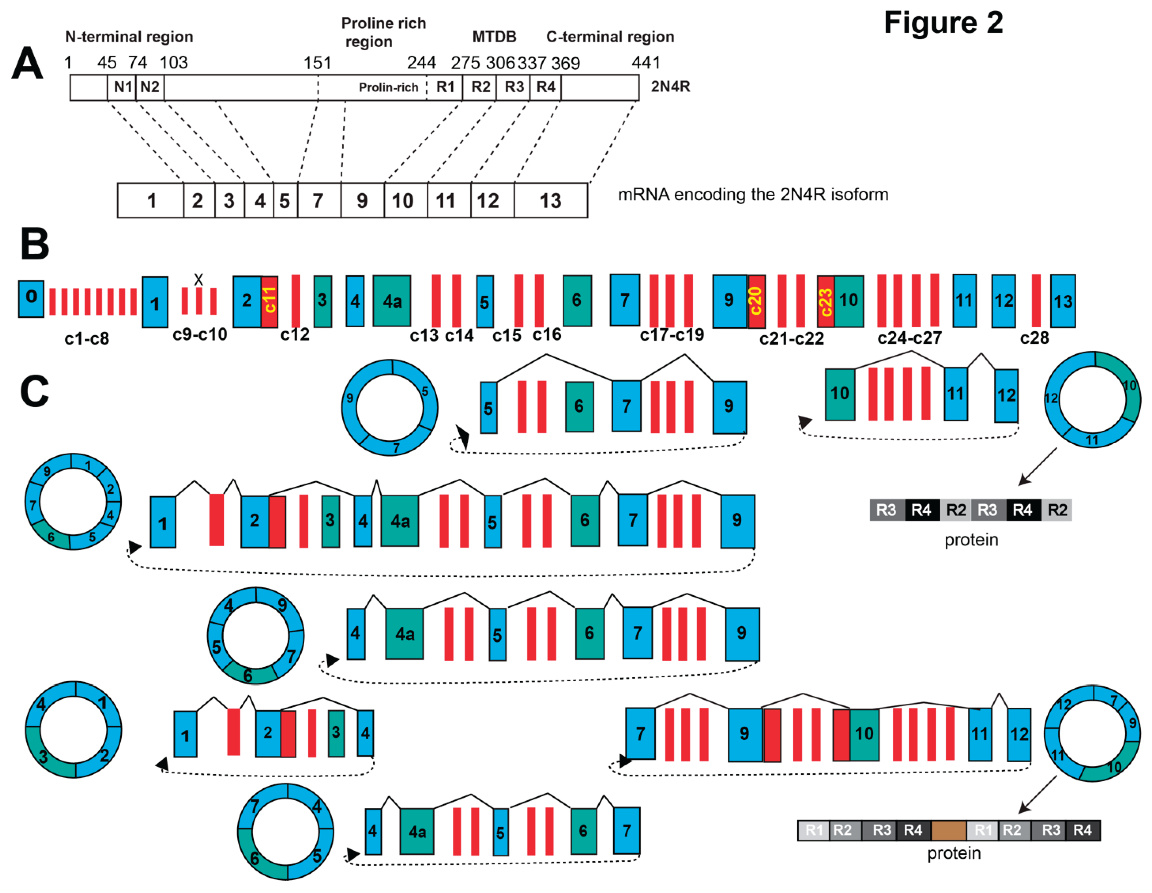 Preprints 161160 g002