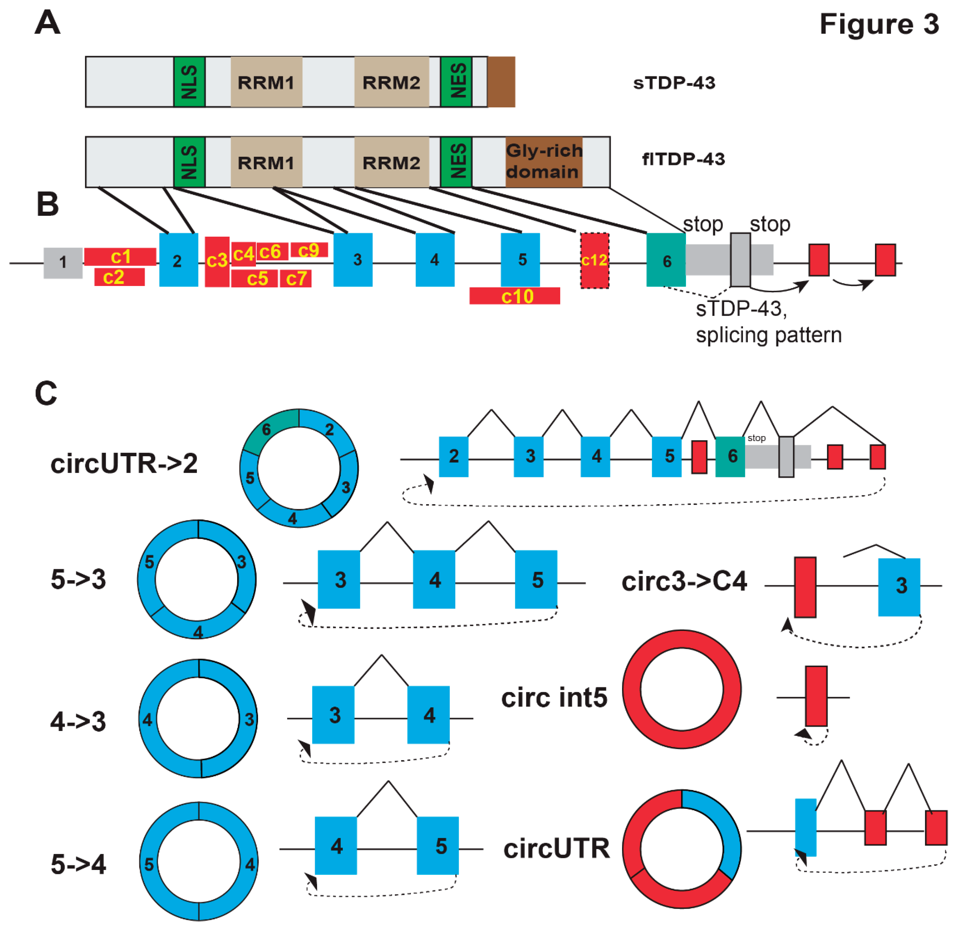 Preprints 161160 g003