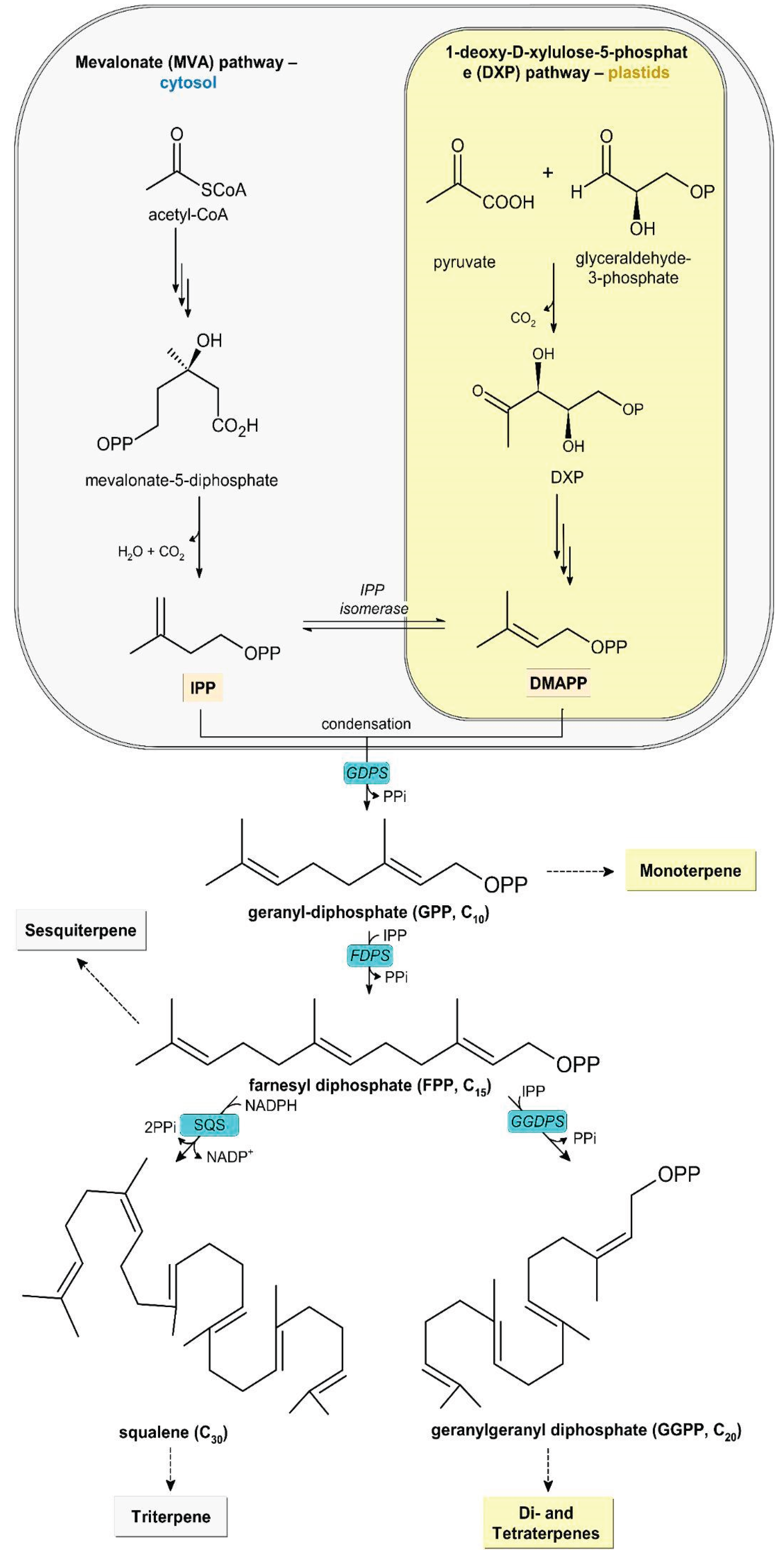 Preprints 195440 g002