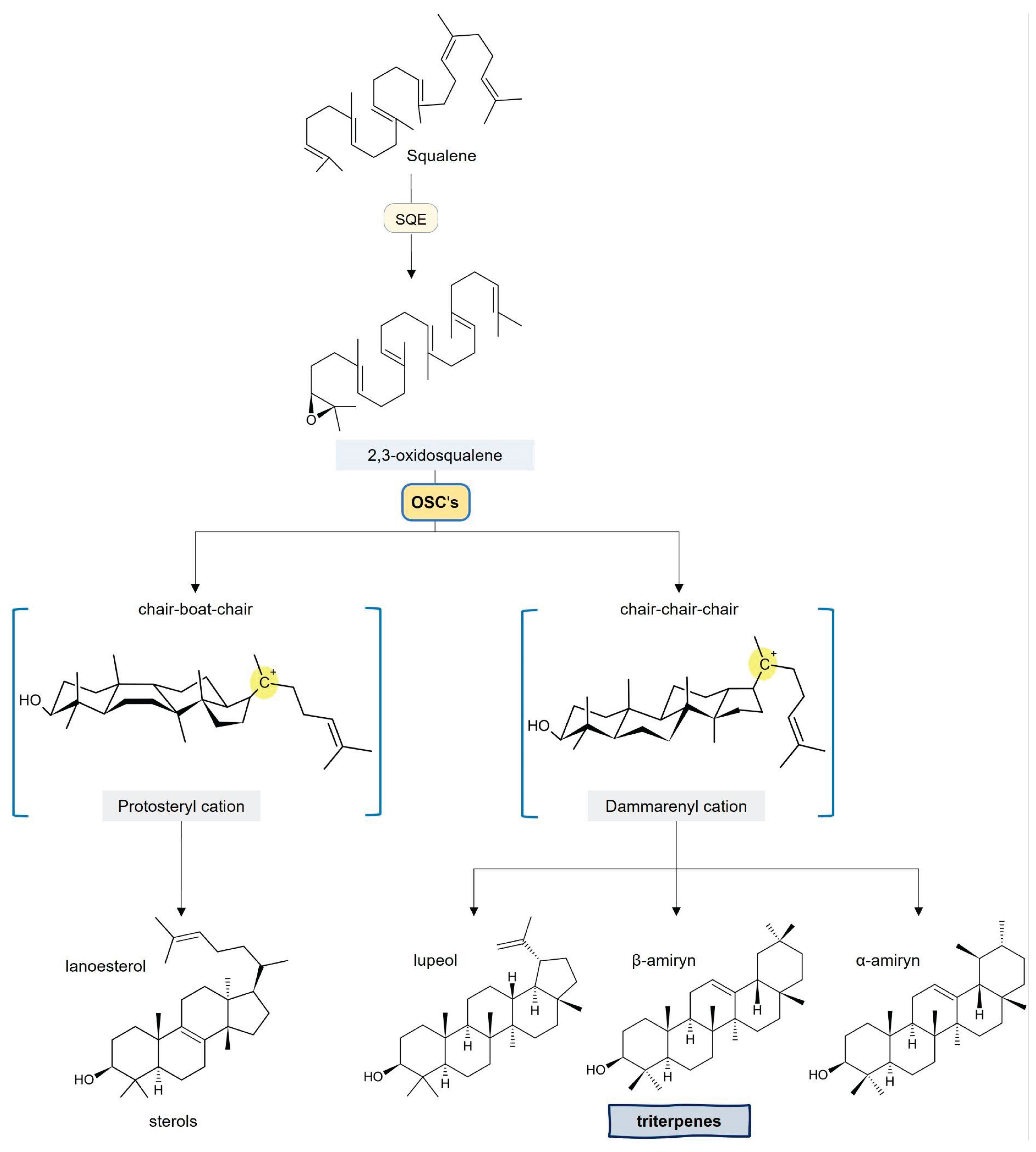 Preprints 195440 g003