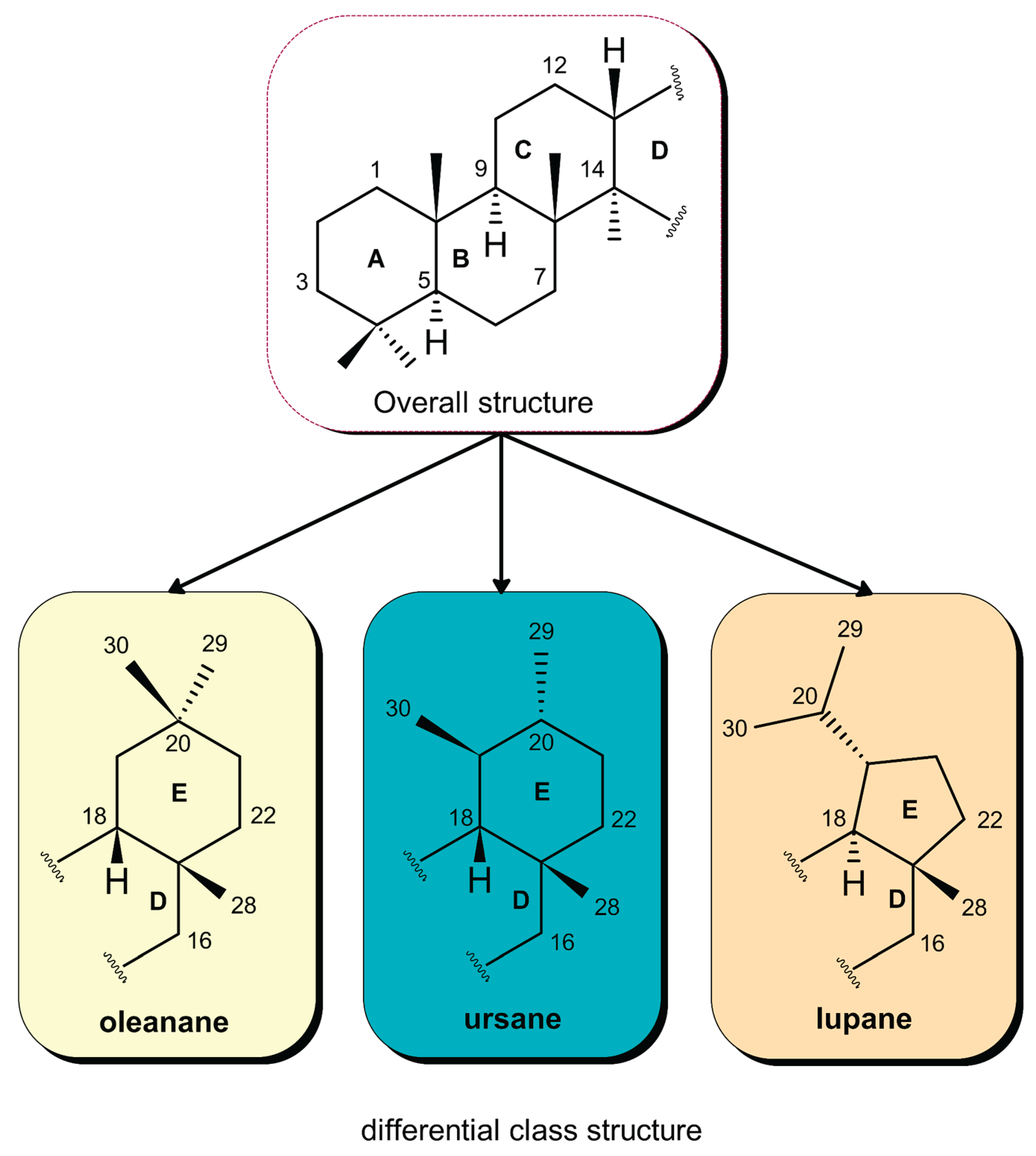 Preprints 195440 g004