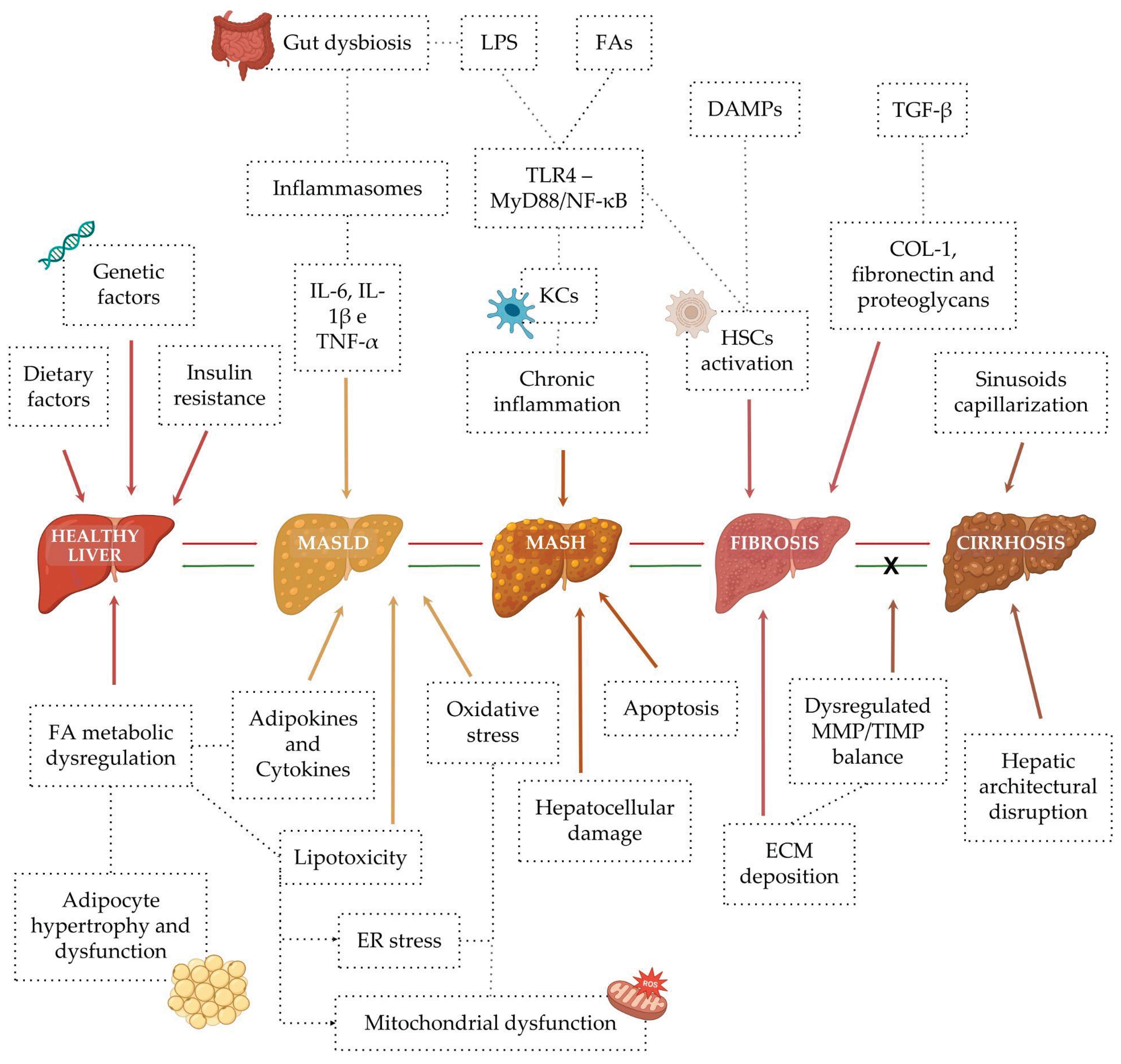 Preprints 195440 g005