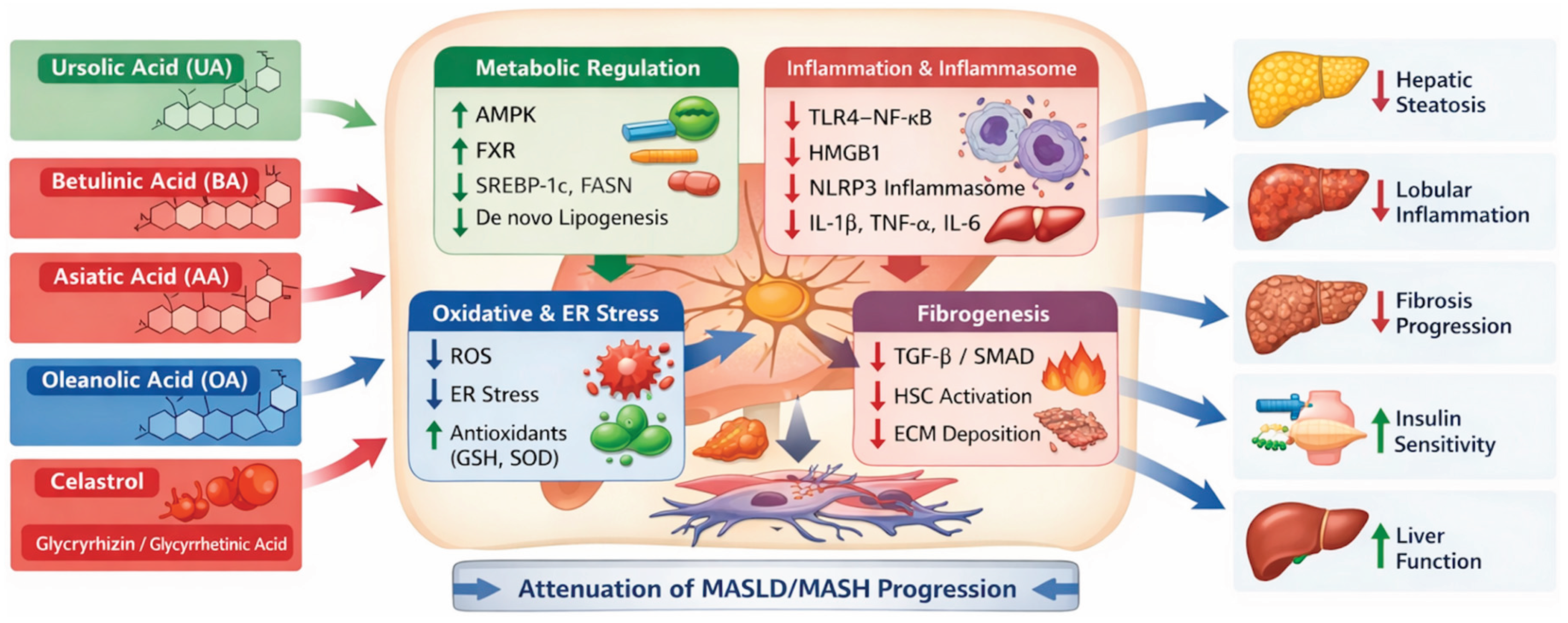 Preprints 195440 g006
