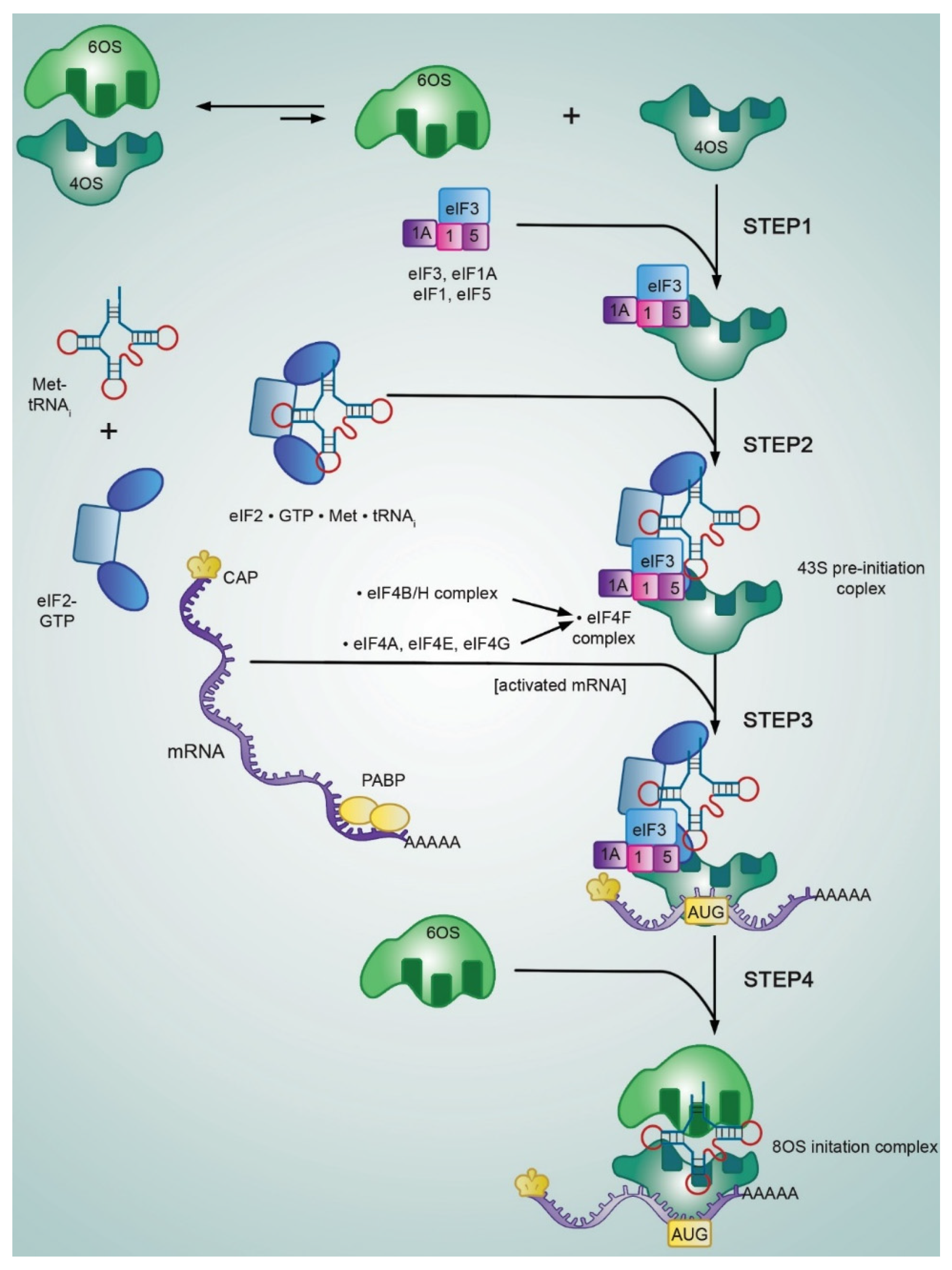 Preprints 210251 g001