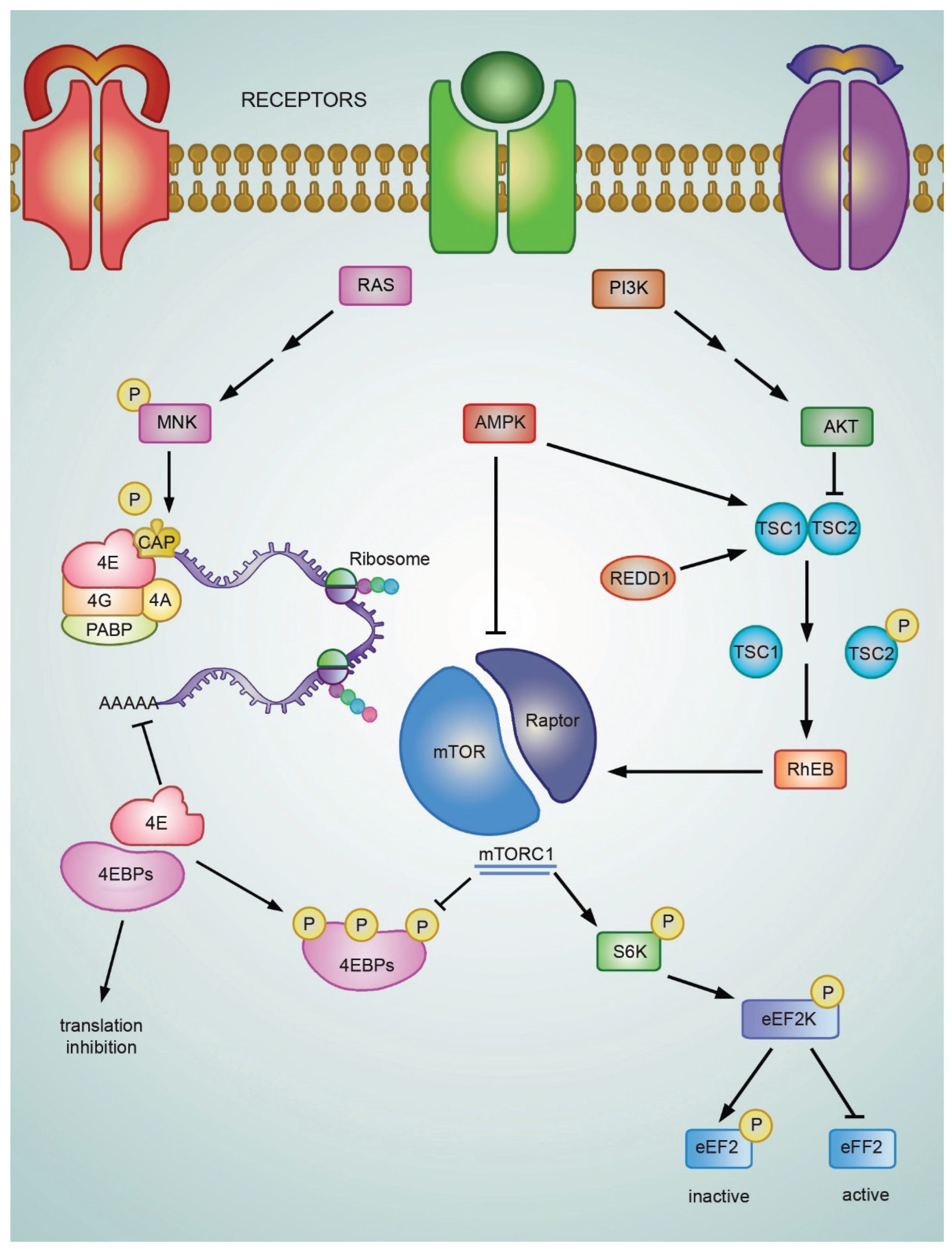Preprints 210251 g003