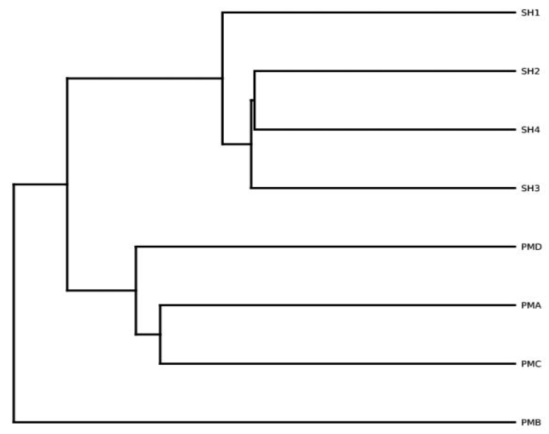 Preprints 178069 g006