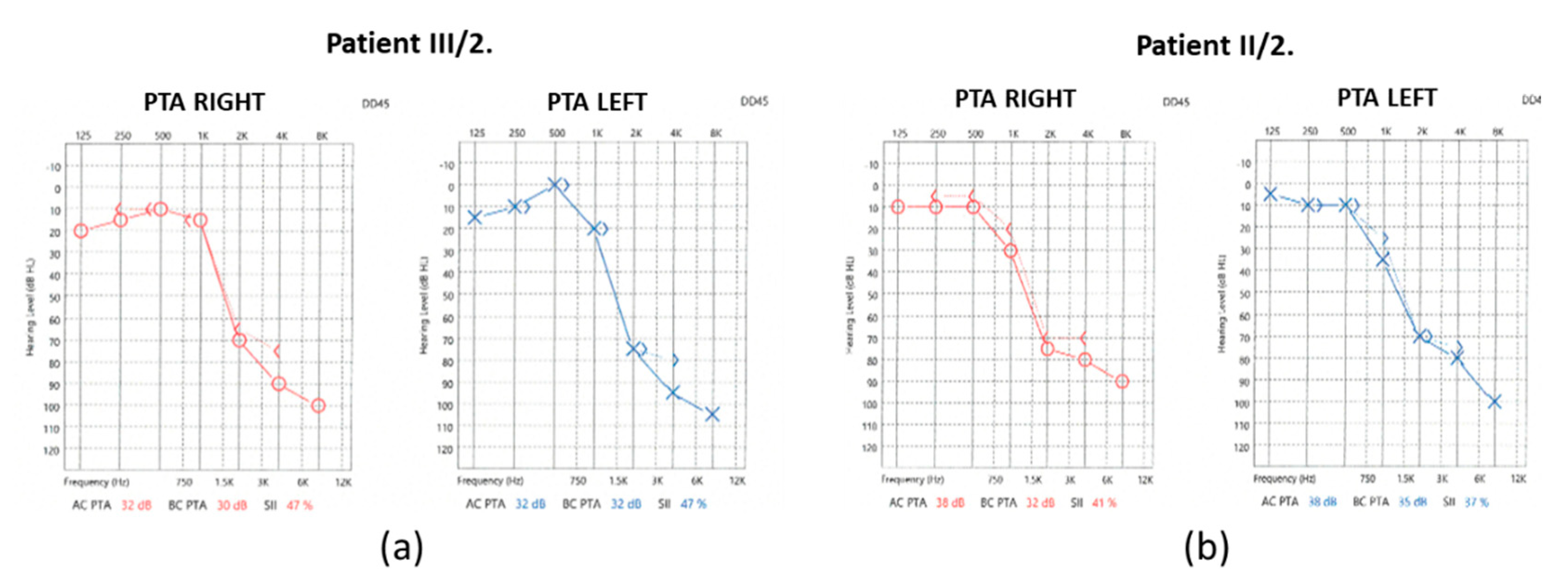 Preprints 145940 g002