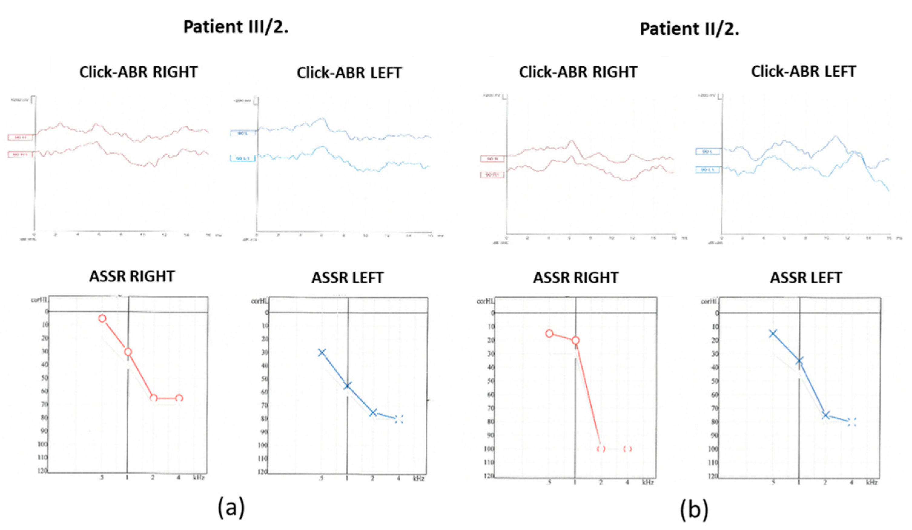 Preprints 145940 g004