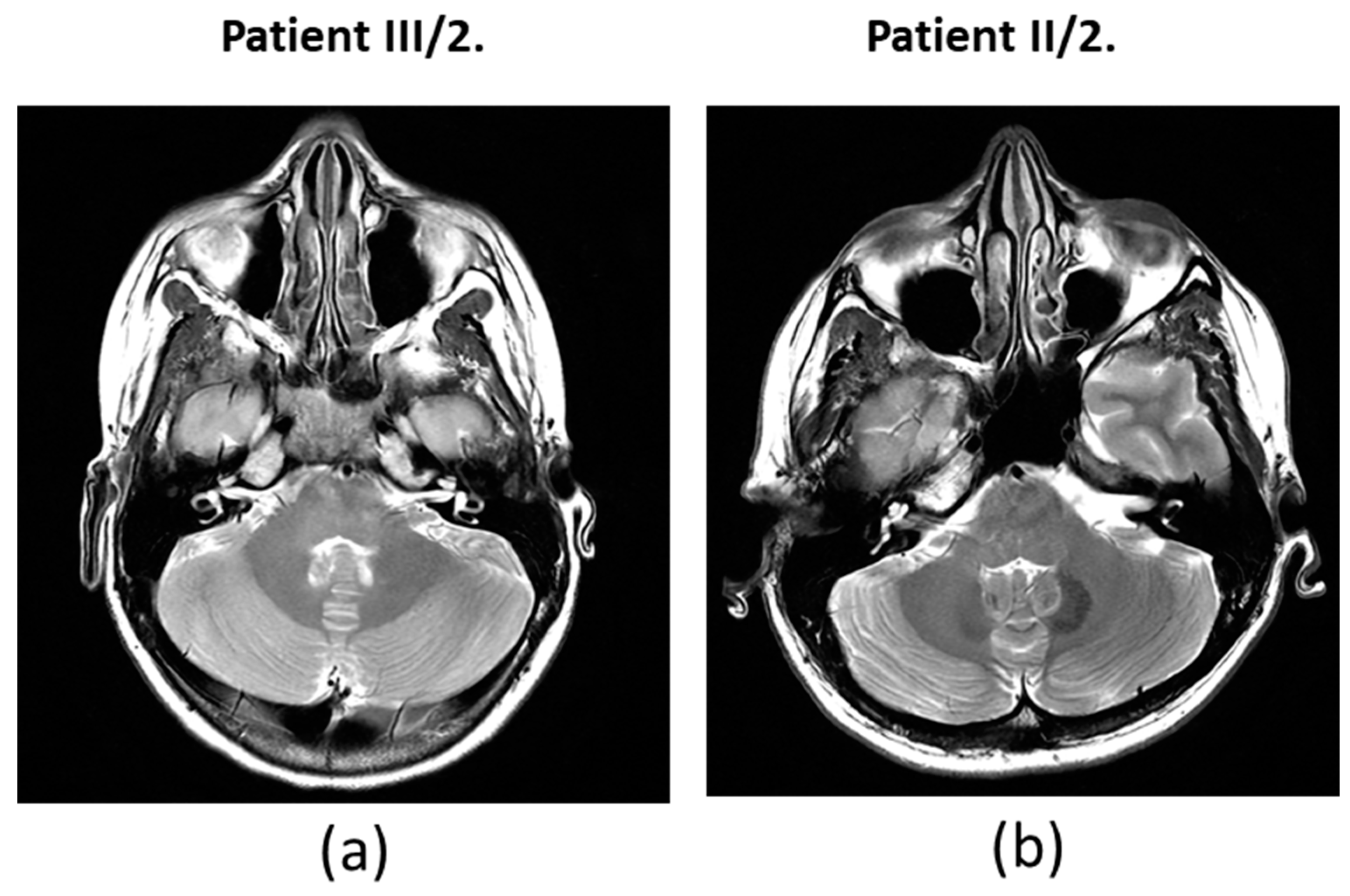 Preprints 145940 g005