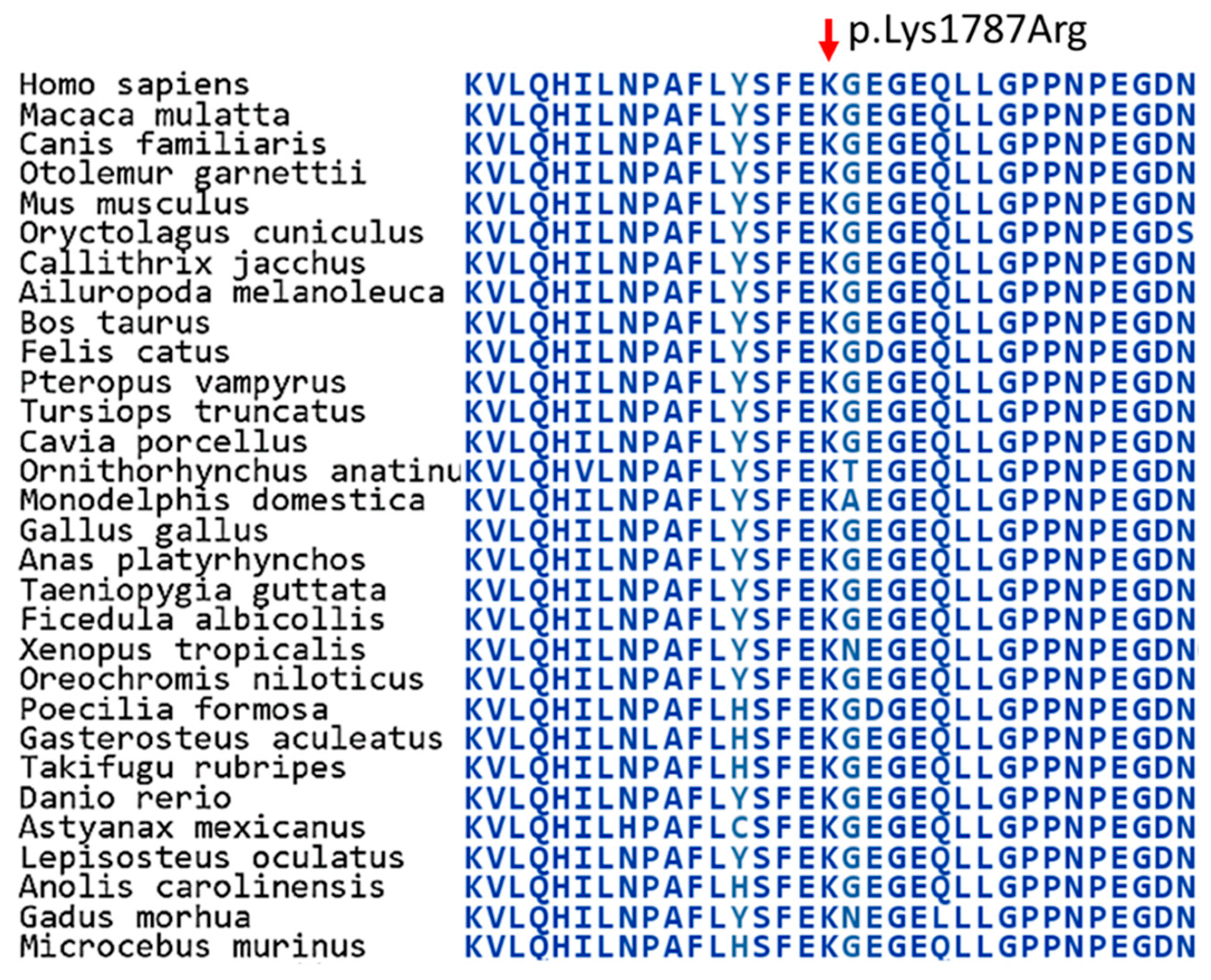 Preprints 145940 g007