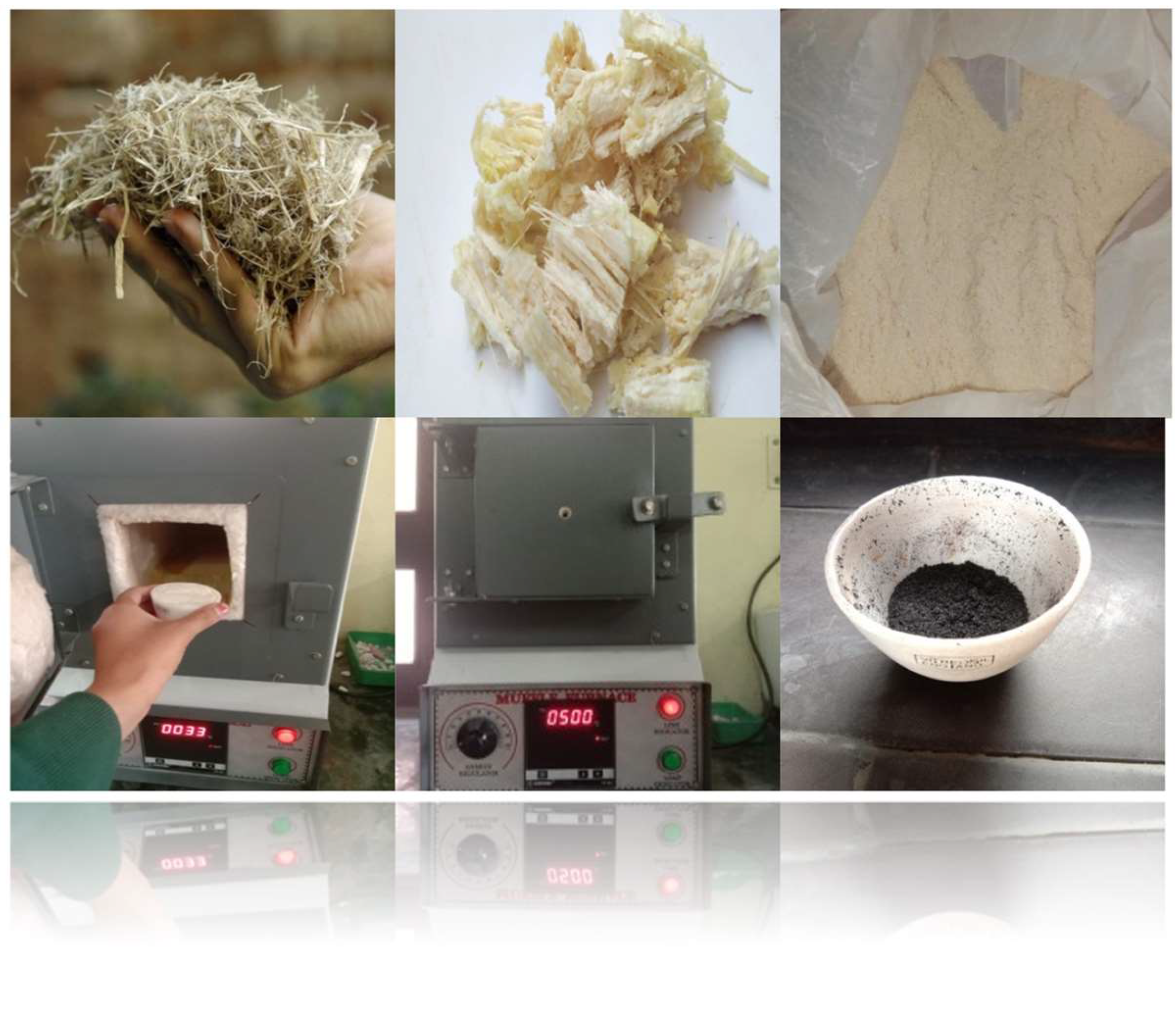 Preprints 145872 g003