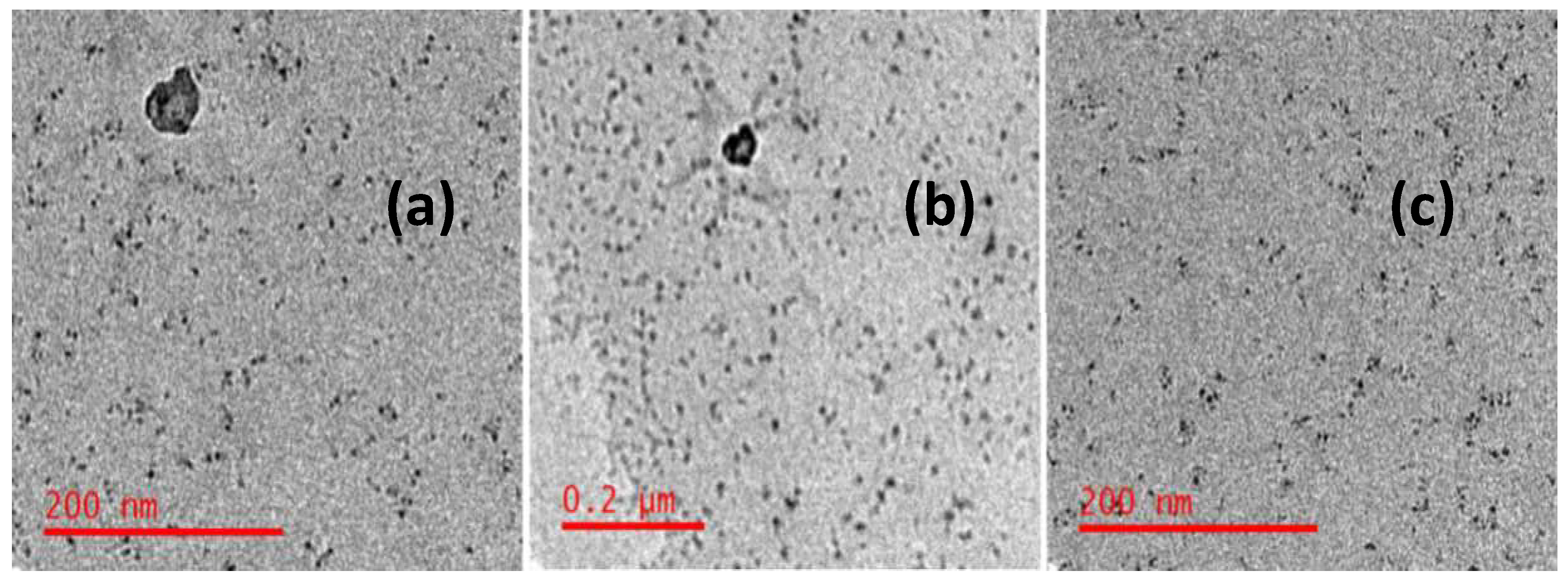 Preprints 145872 g007