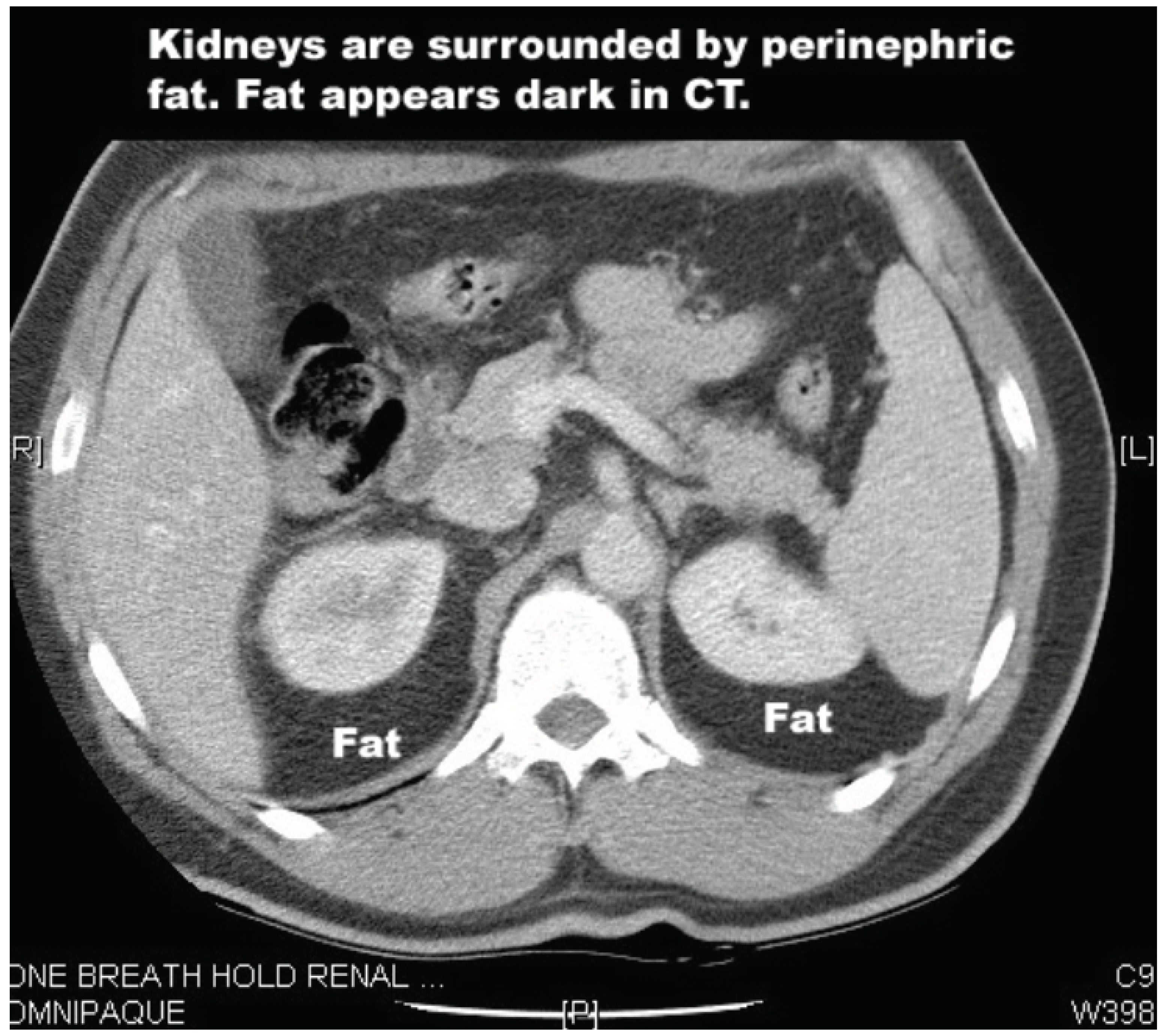 Preprints 98380 g002