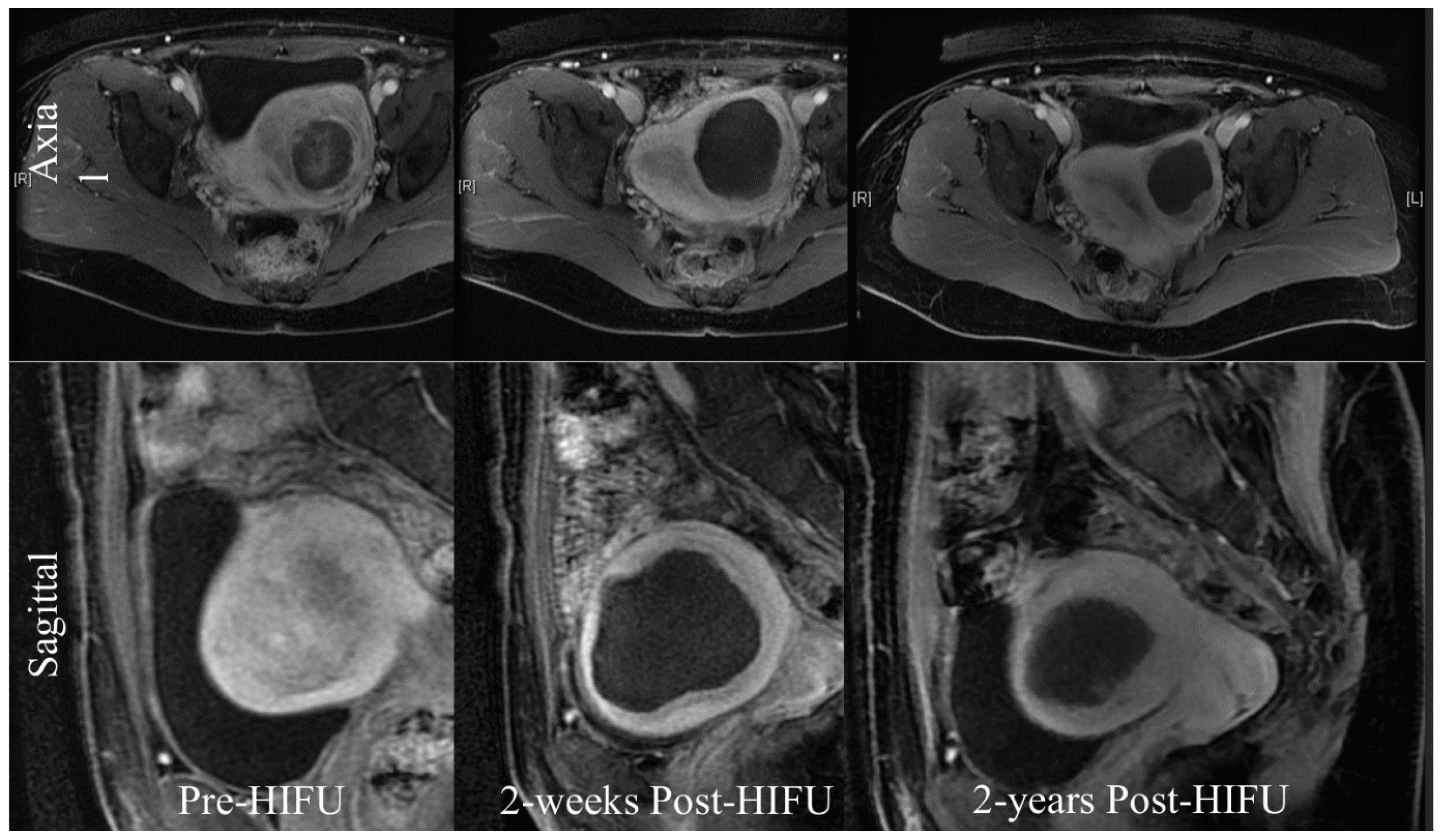 Preprints 98380 g003