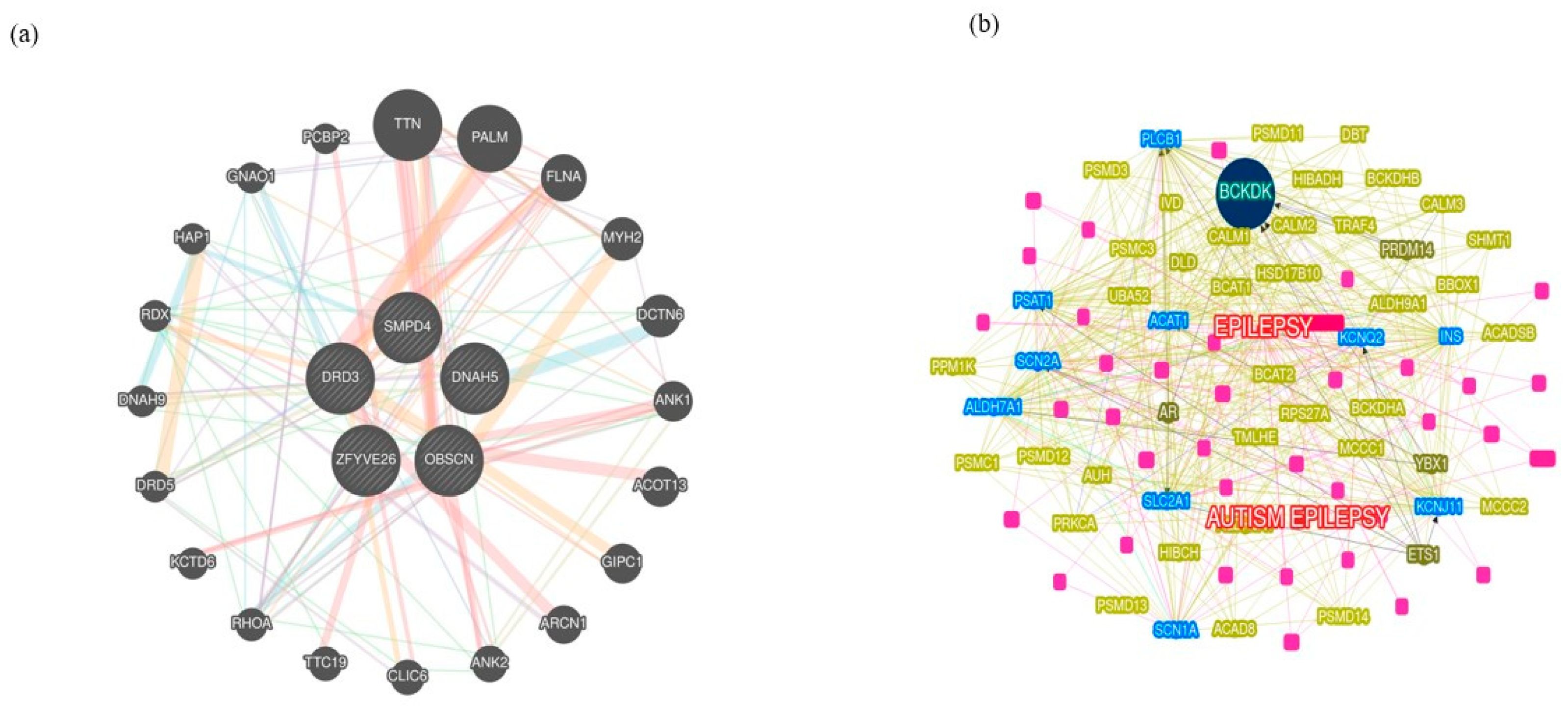 Preprints 93128 g001a
