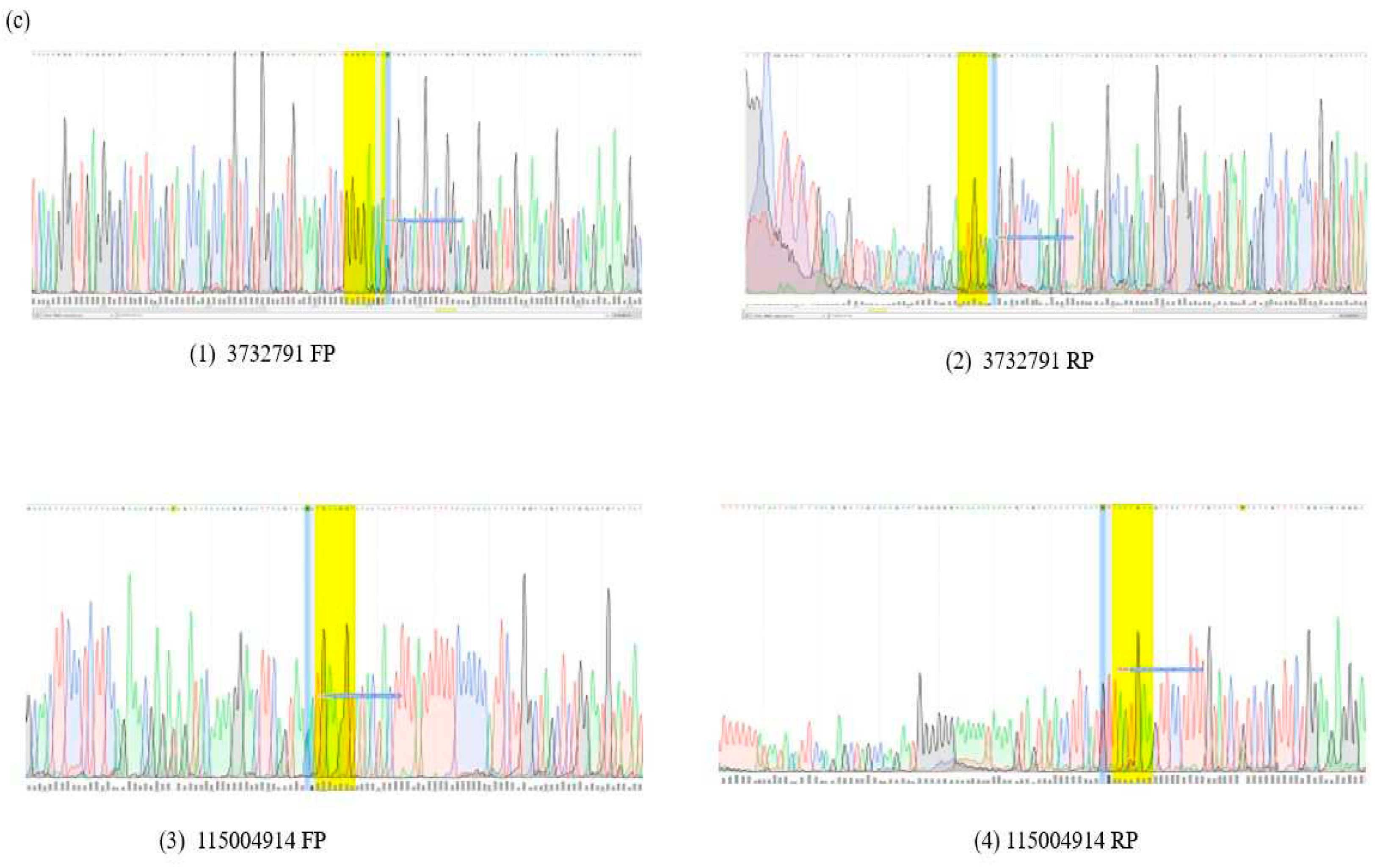 Preprints 93128 g001b