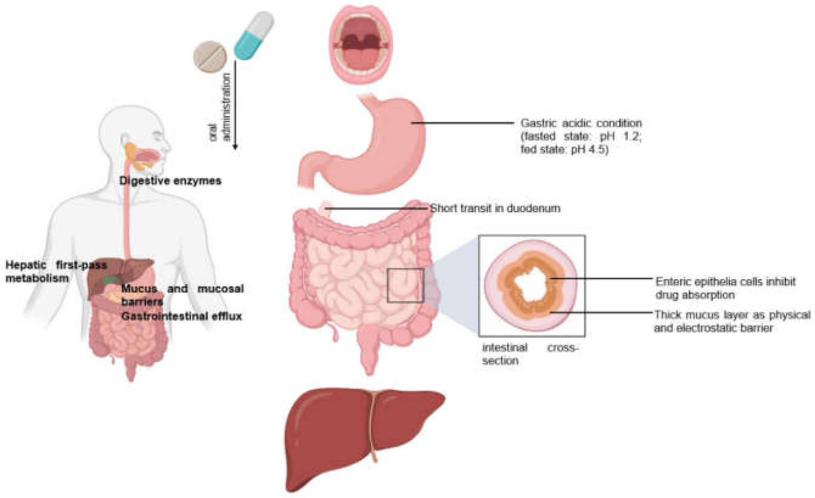 Preprints 137512 g001