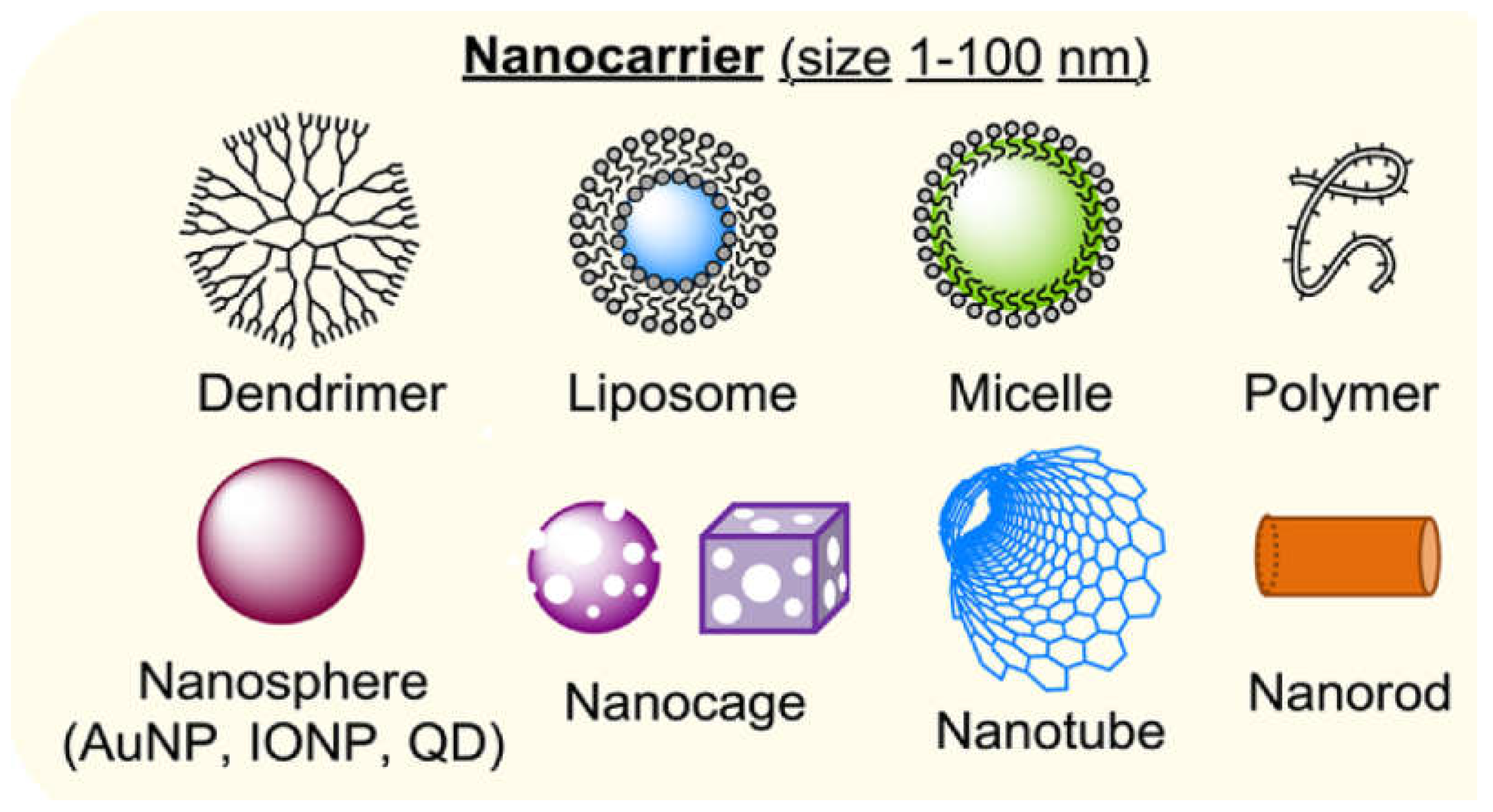 Preprints 137512 g006