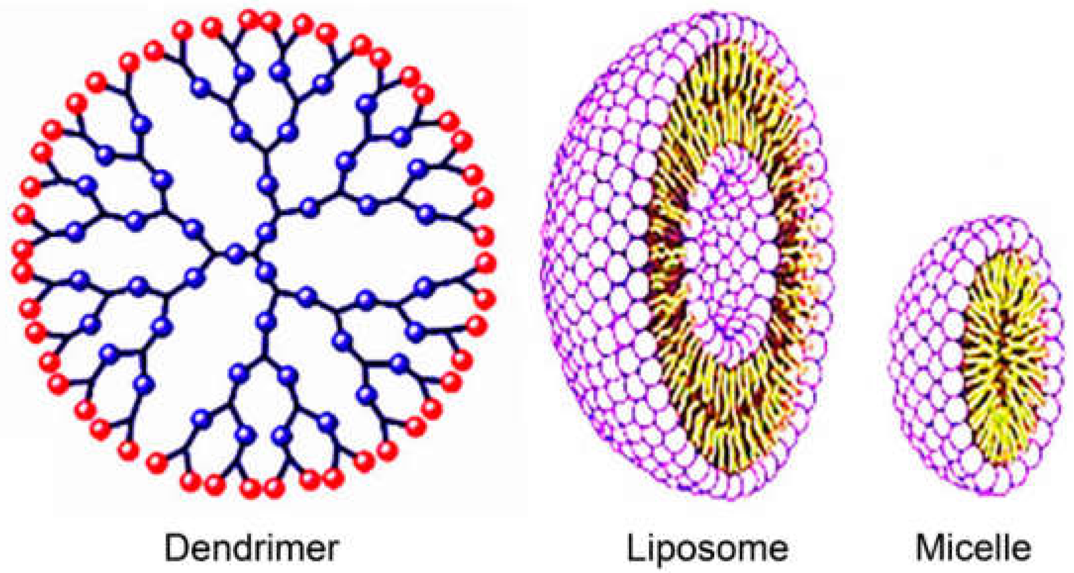Preprints 137512 g008
