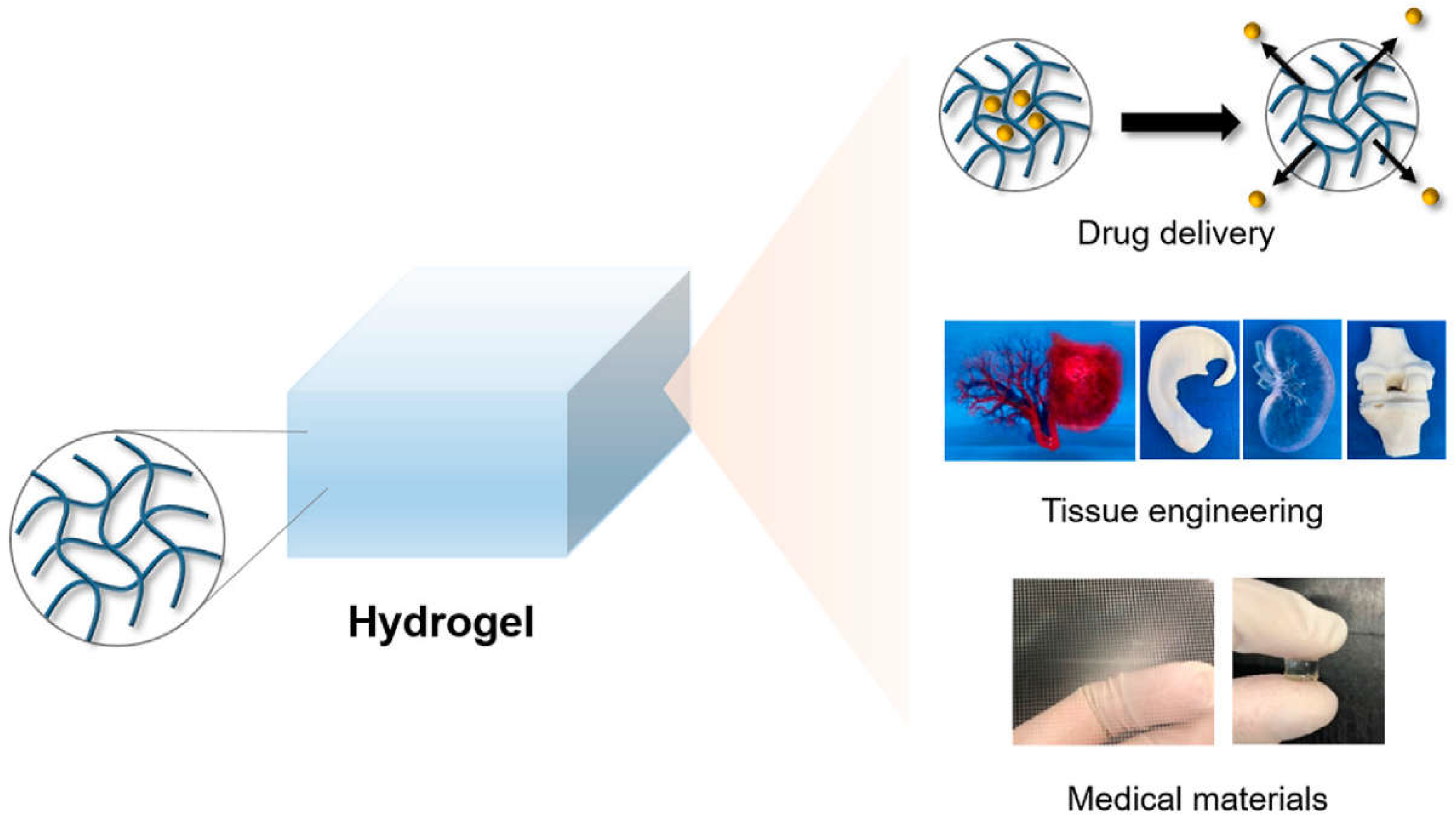 Preprints 137512 g013