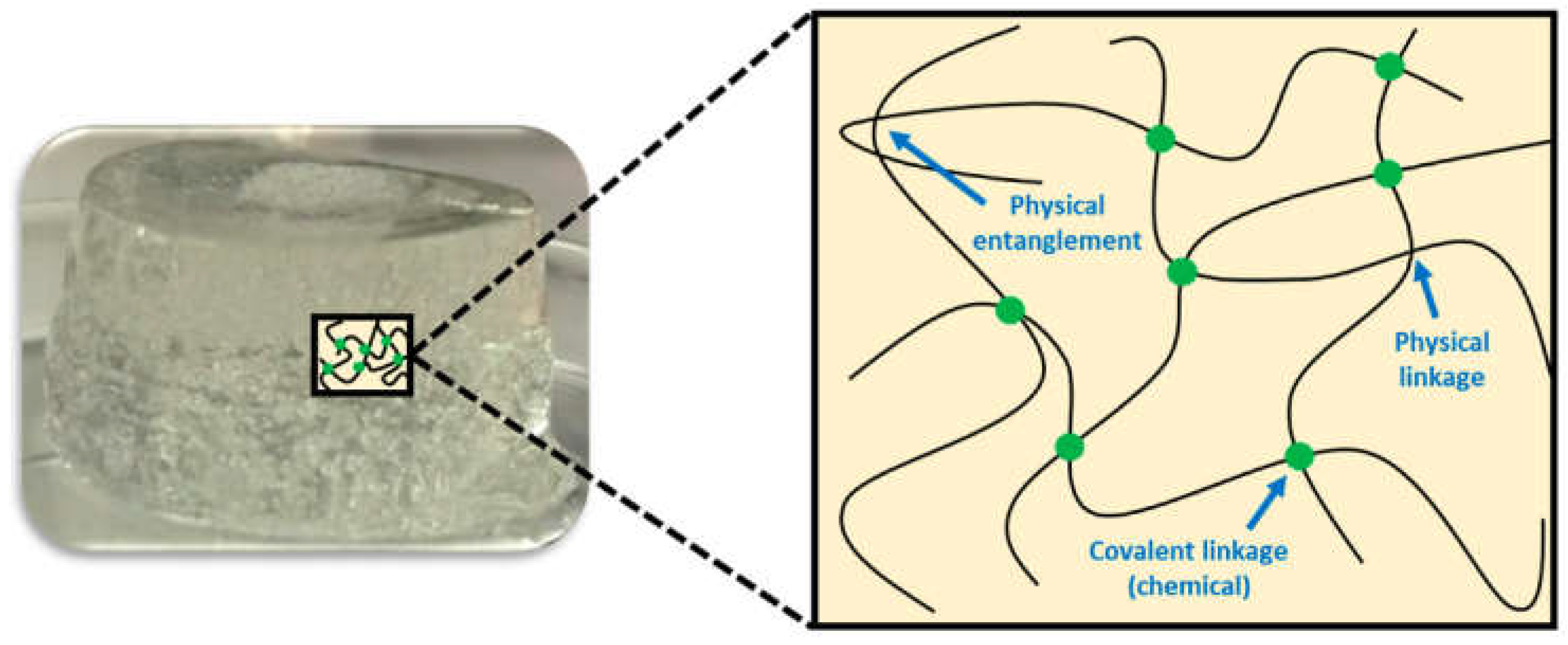 Preprints 137512 g014