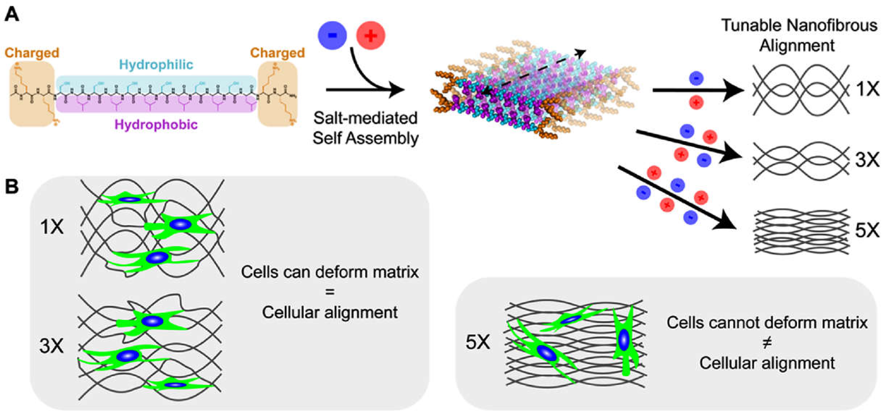 Preprints 137512 g028