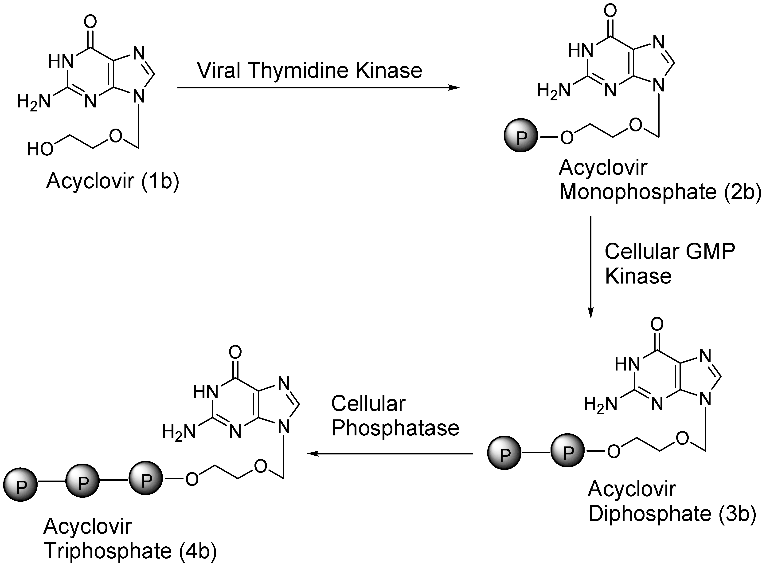 Preprints 137512 sch001