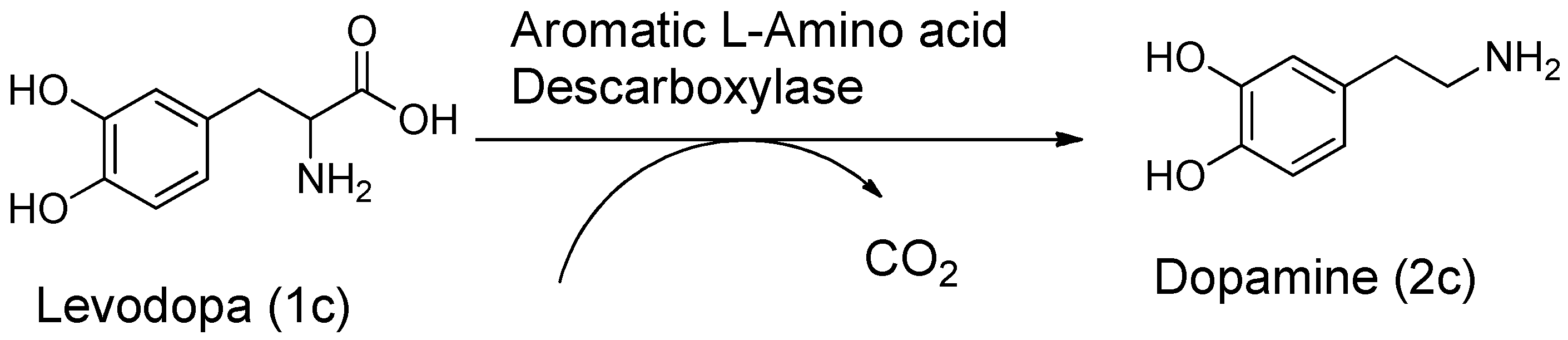 Preprints 137512 sch002