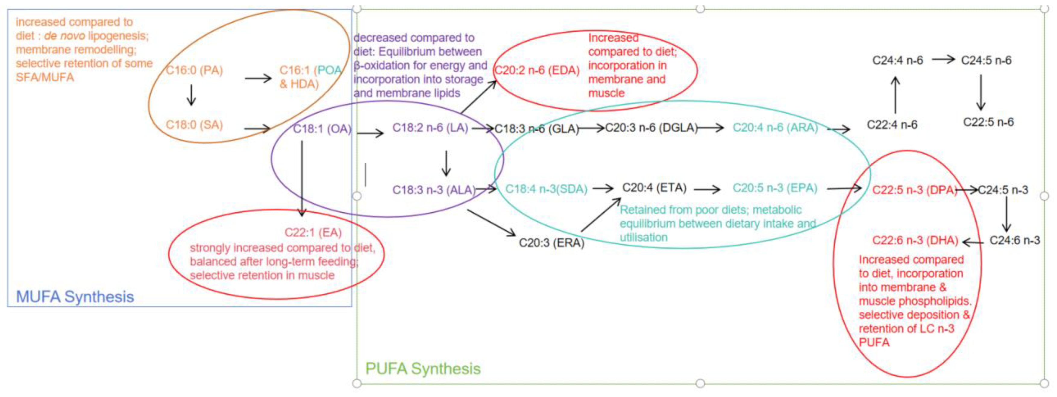 Preprints 217562 g002