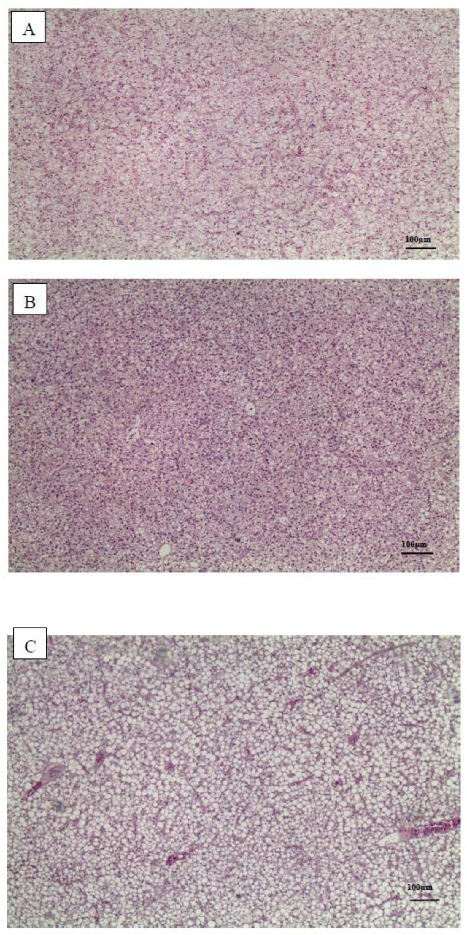 Preprints 217562 g004