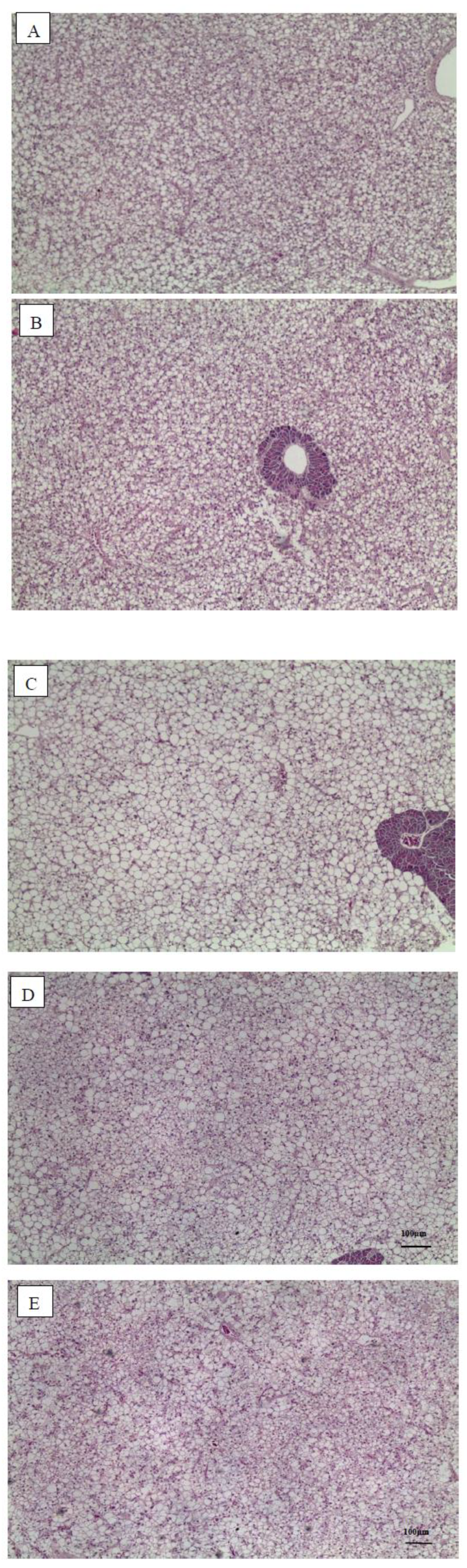 Preprints 217562 g005