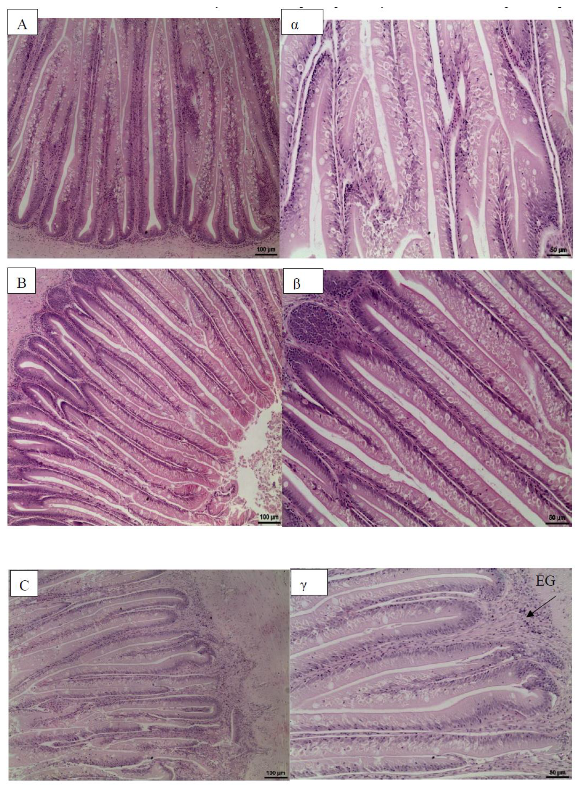Preprints 217562 g006