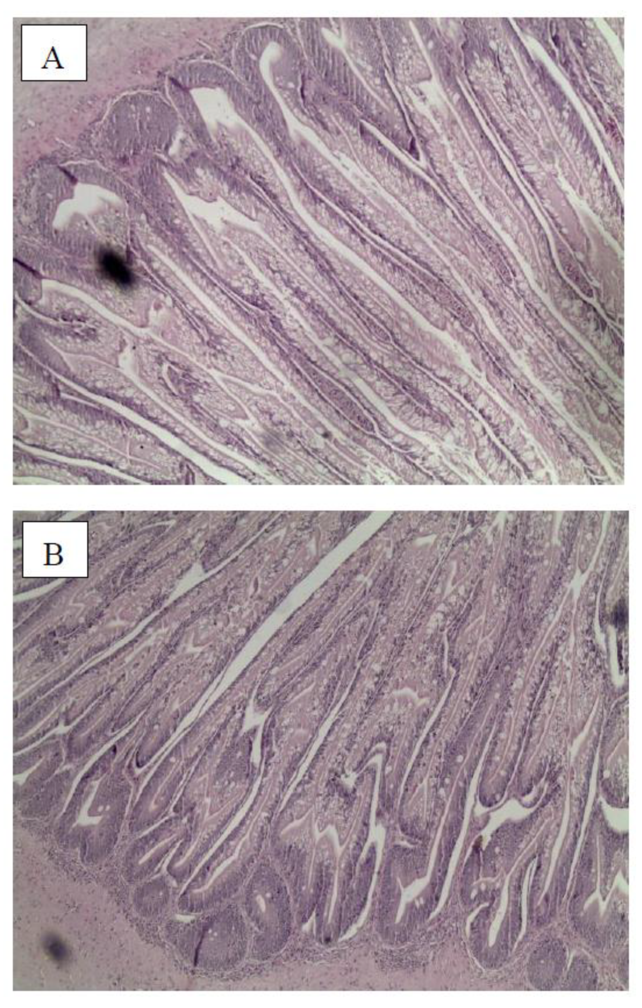 Preprints 217562 g007a