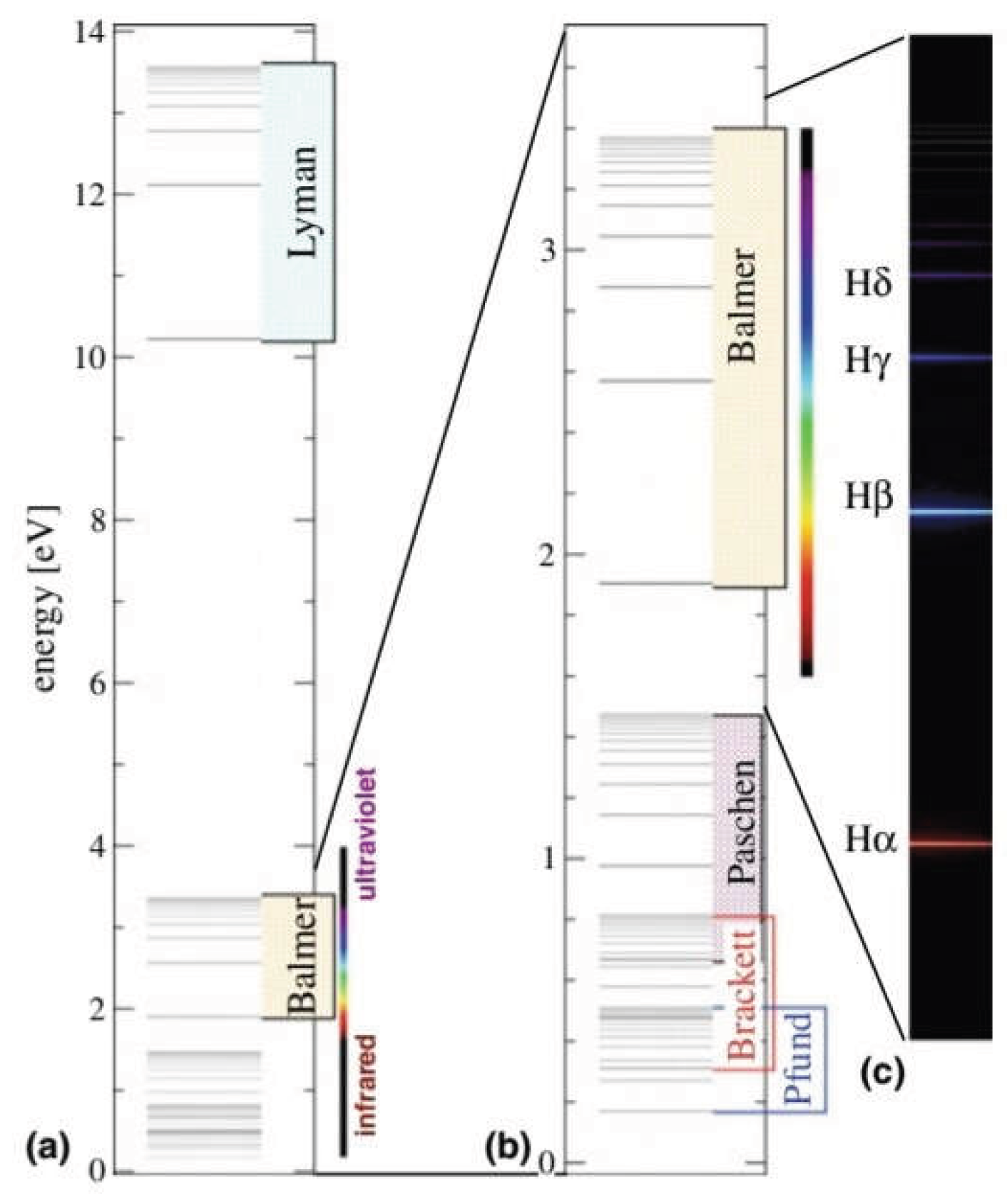 Preprints 223482 g002