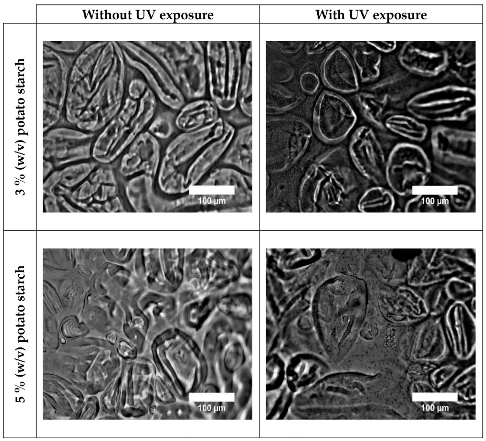 Preprints 197888 g002