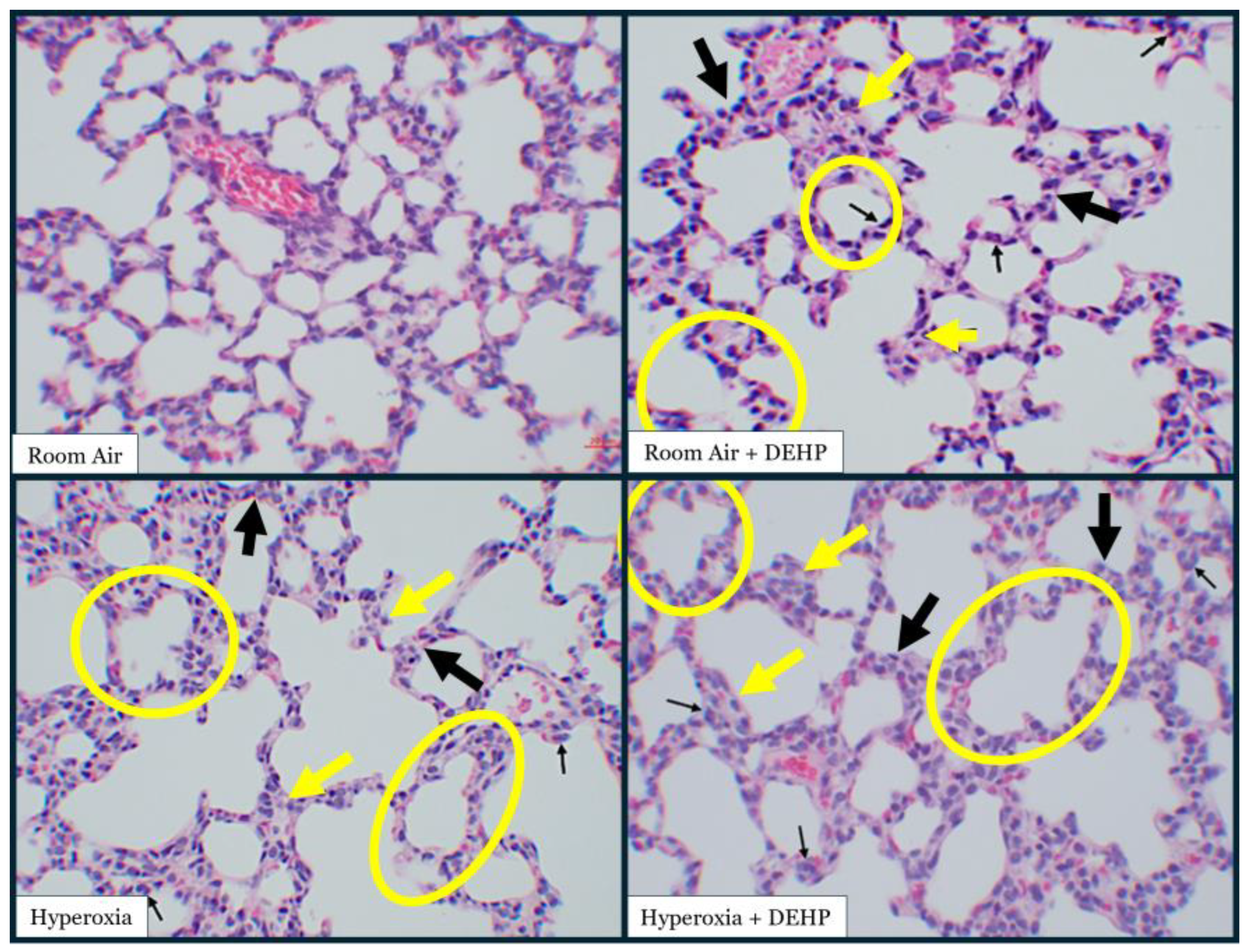 Preprints 213502 g001a