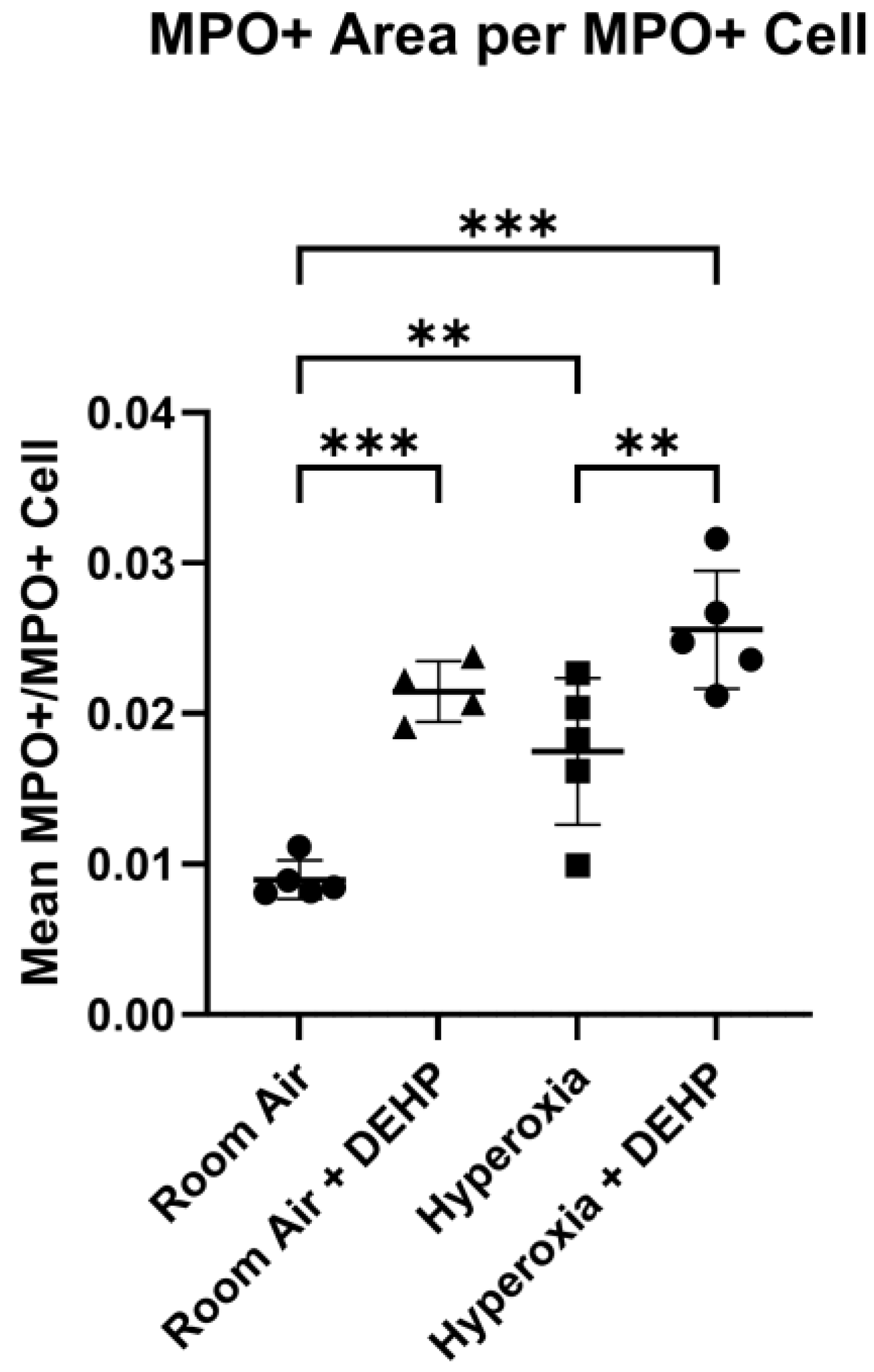 Preprints 213502 g002b