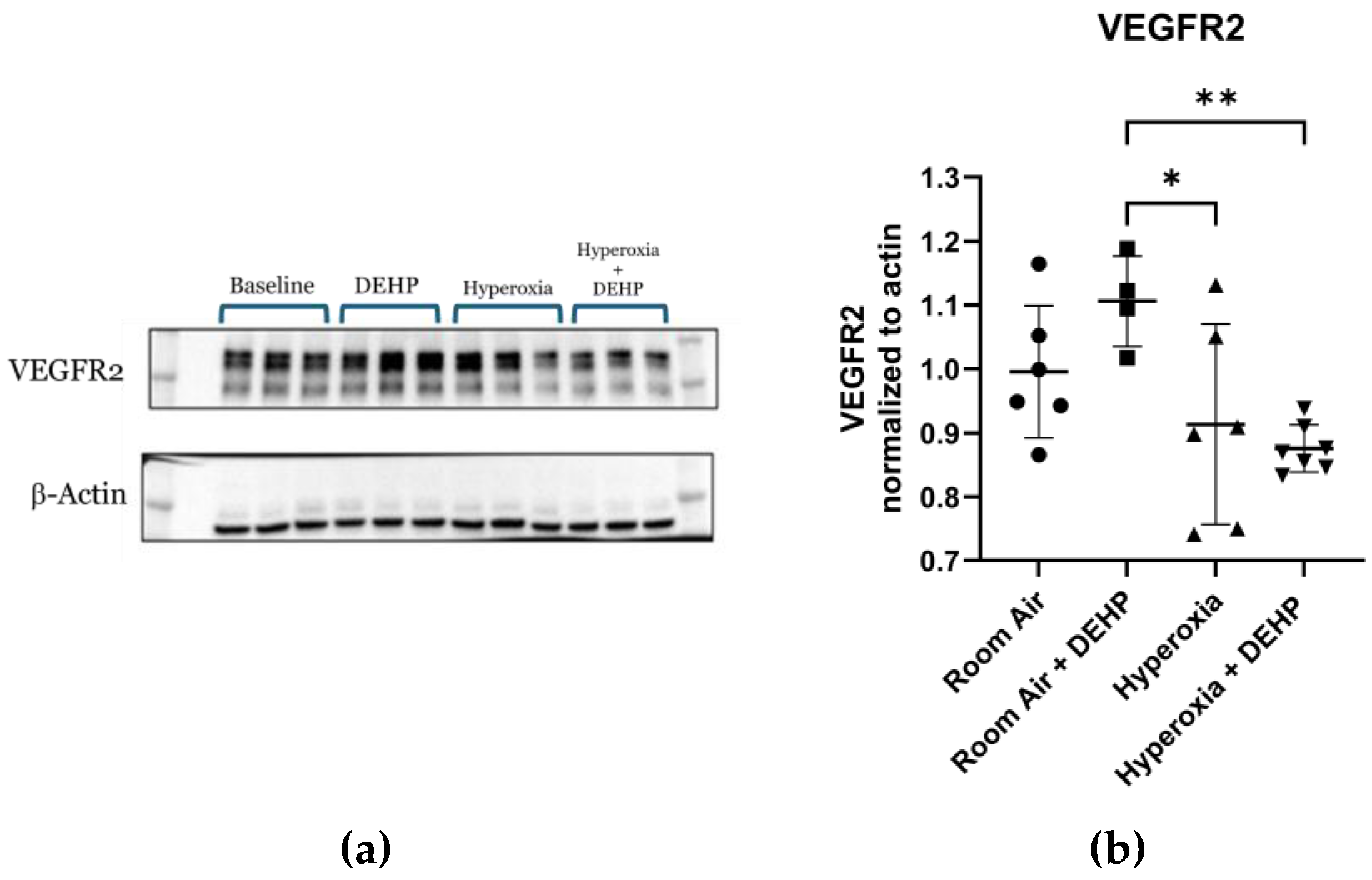 Preprints 213502 g007