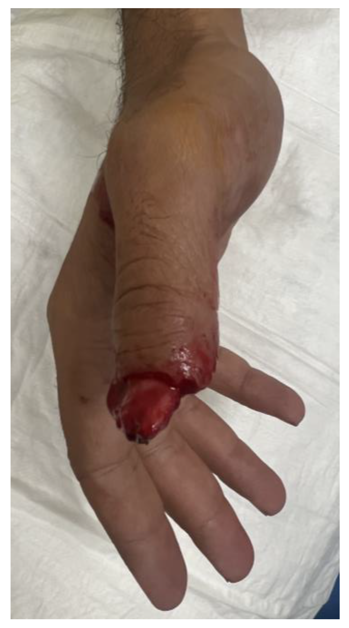 Preprints 192382 g001