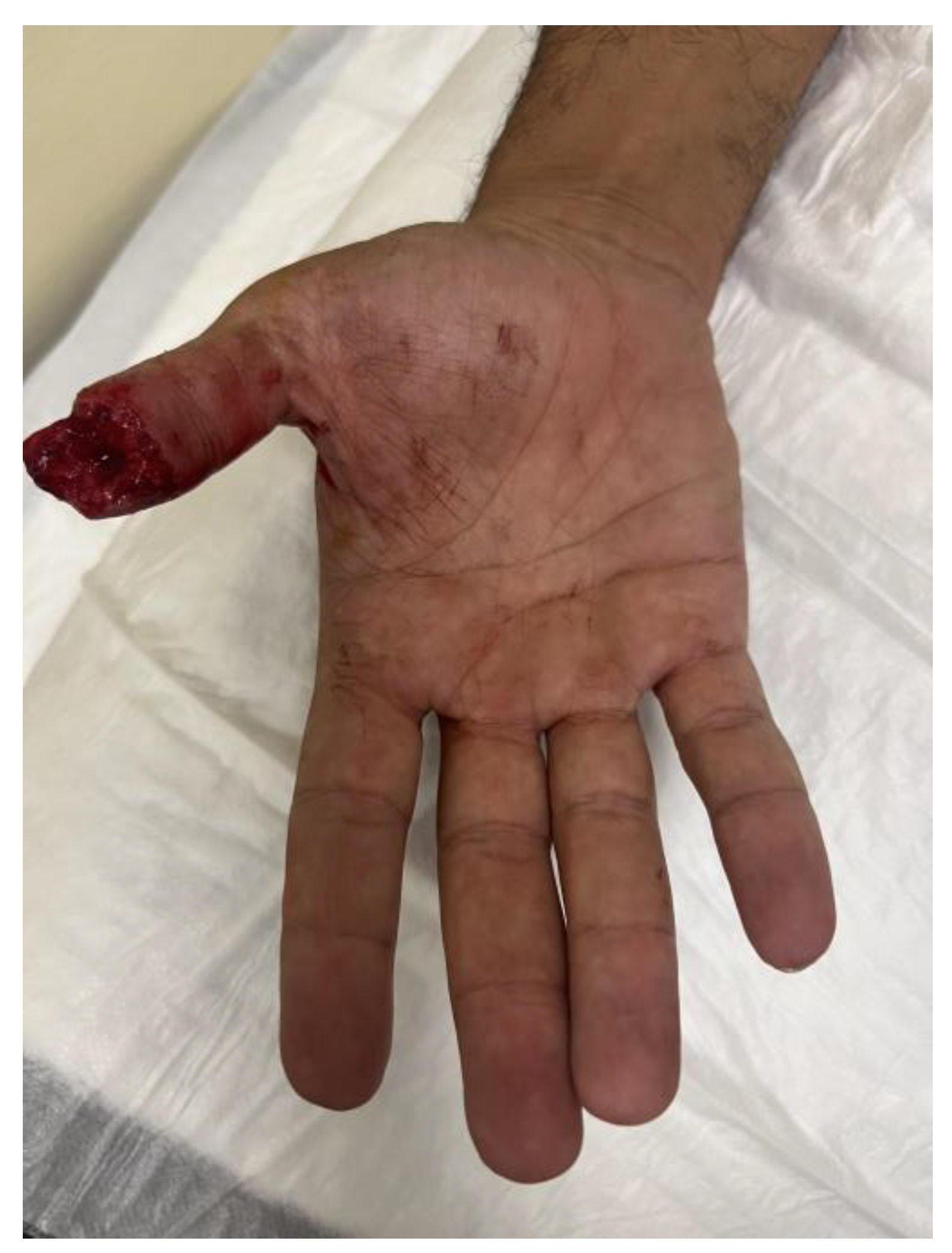 Preprints 192382 g002