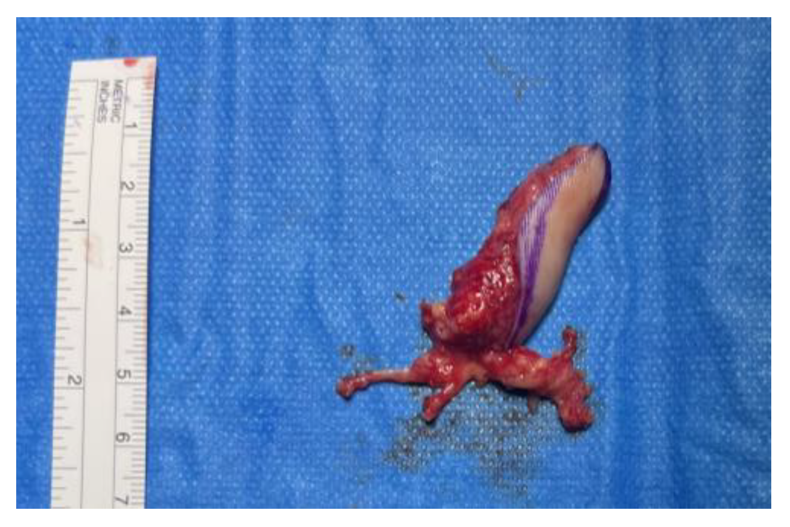 Preprints 192382 g003