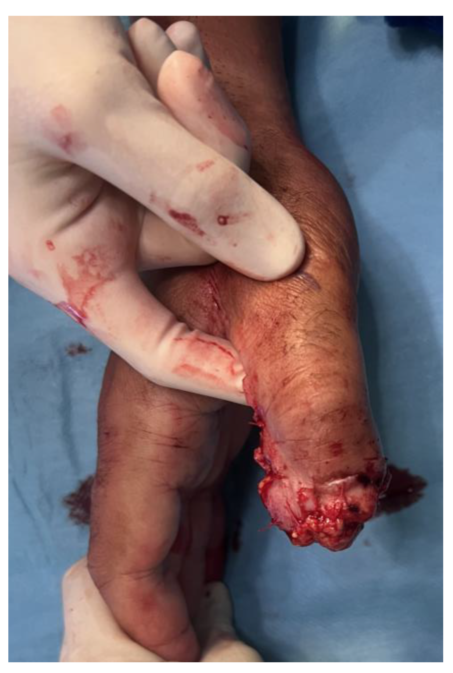 Preprints 192382 g004