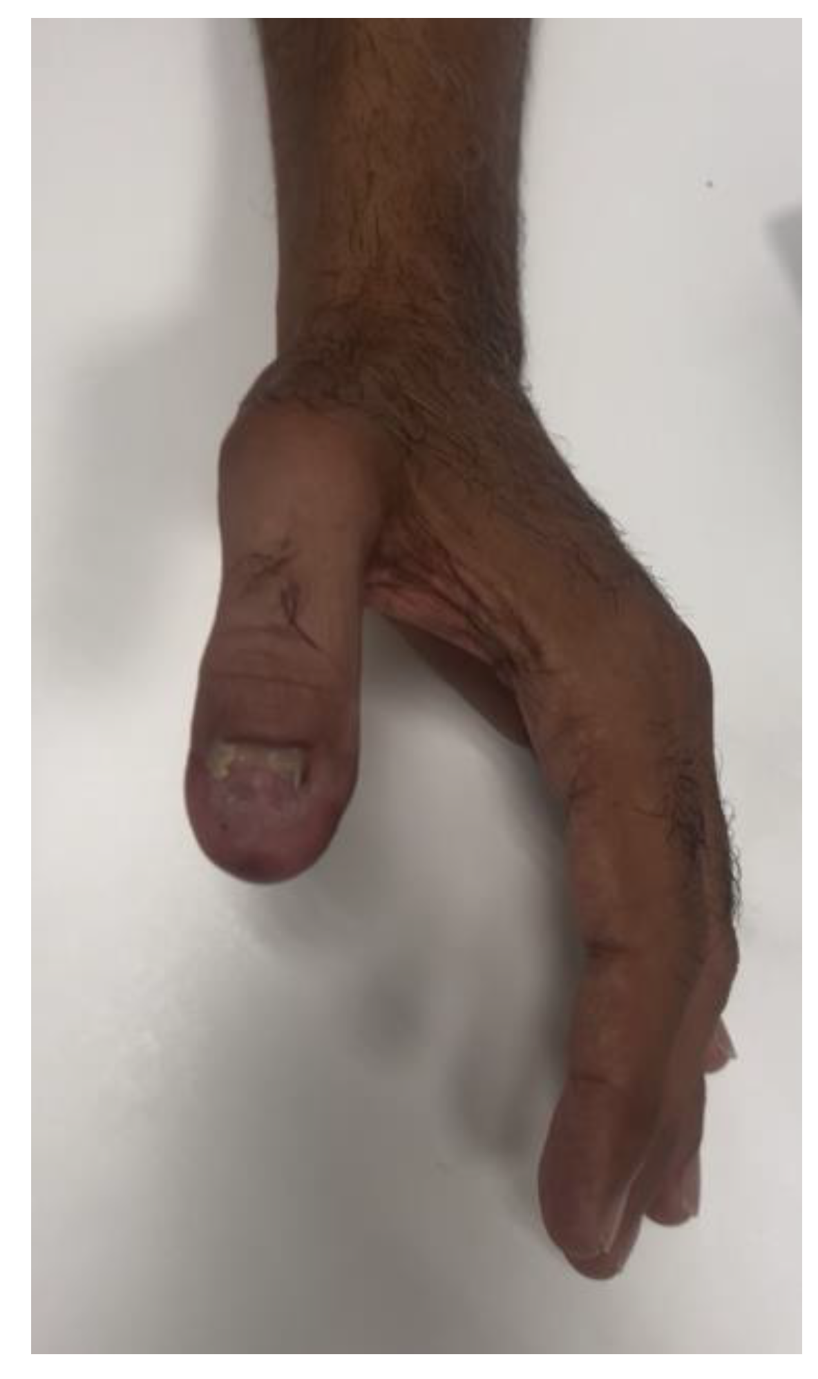 Preprints 192382 g006