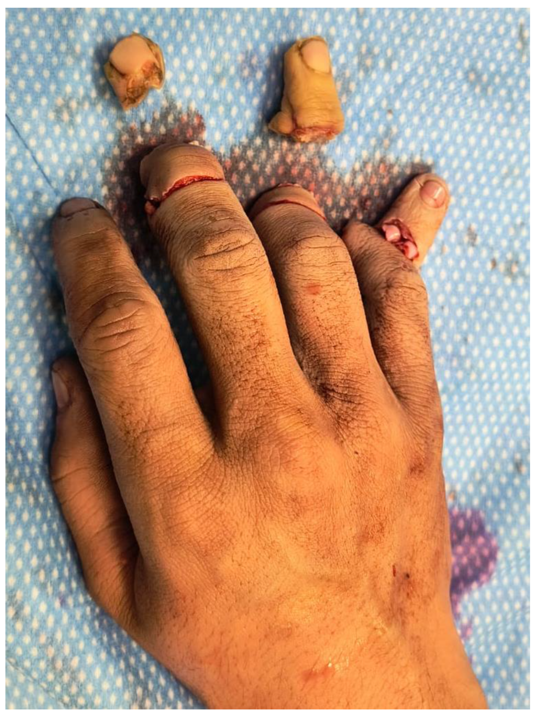 Preprints 192382 g008