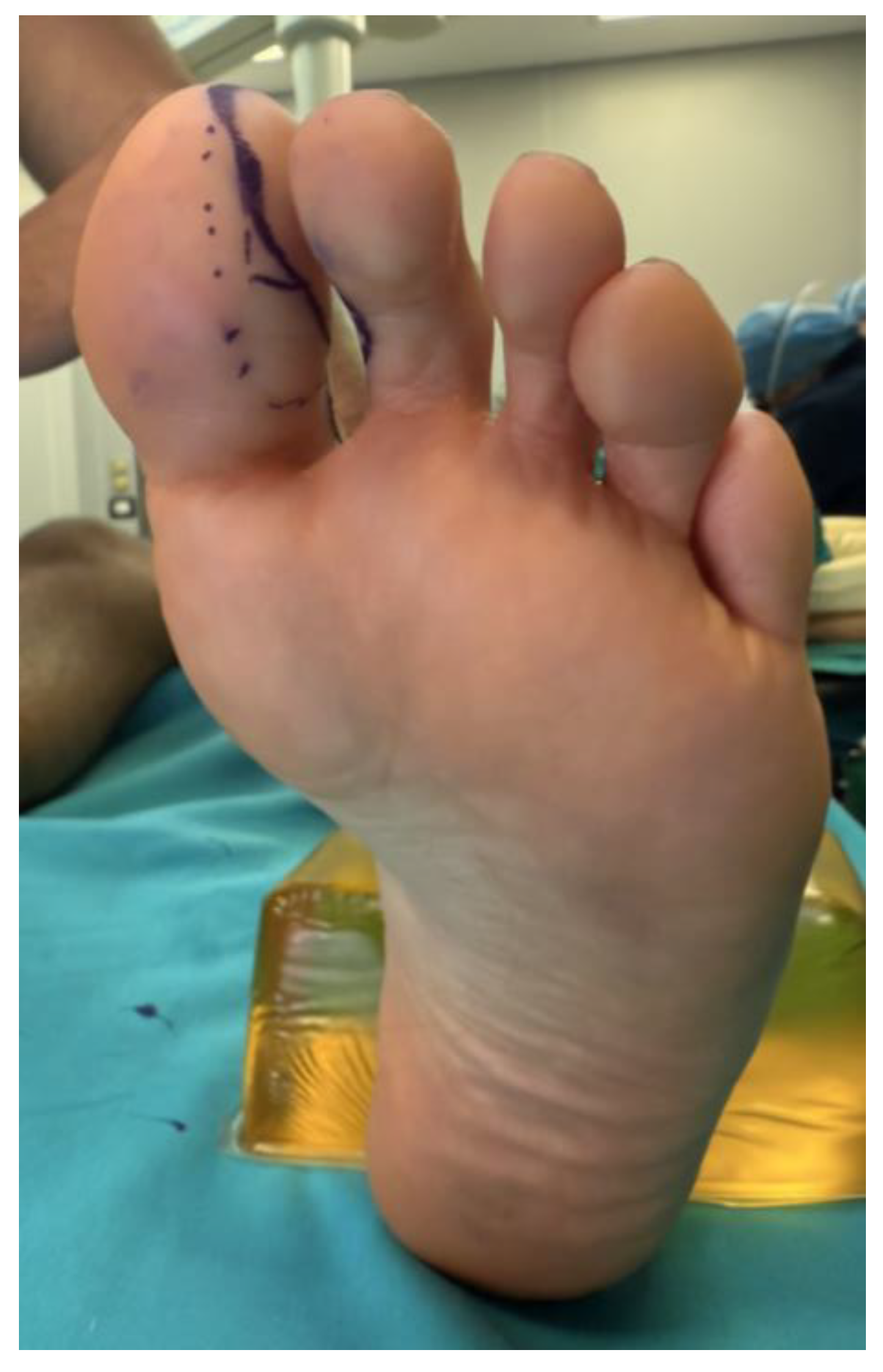 Preprints 192382 g009